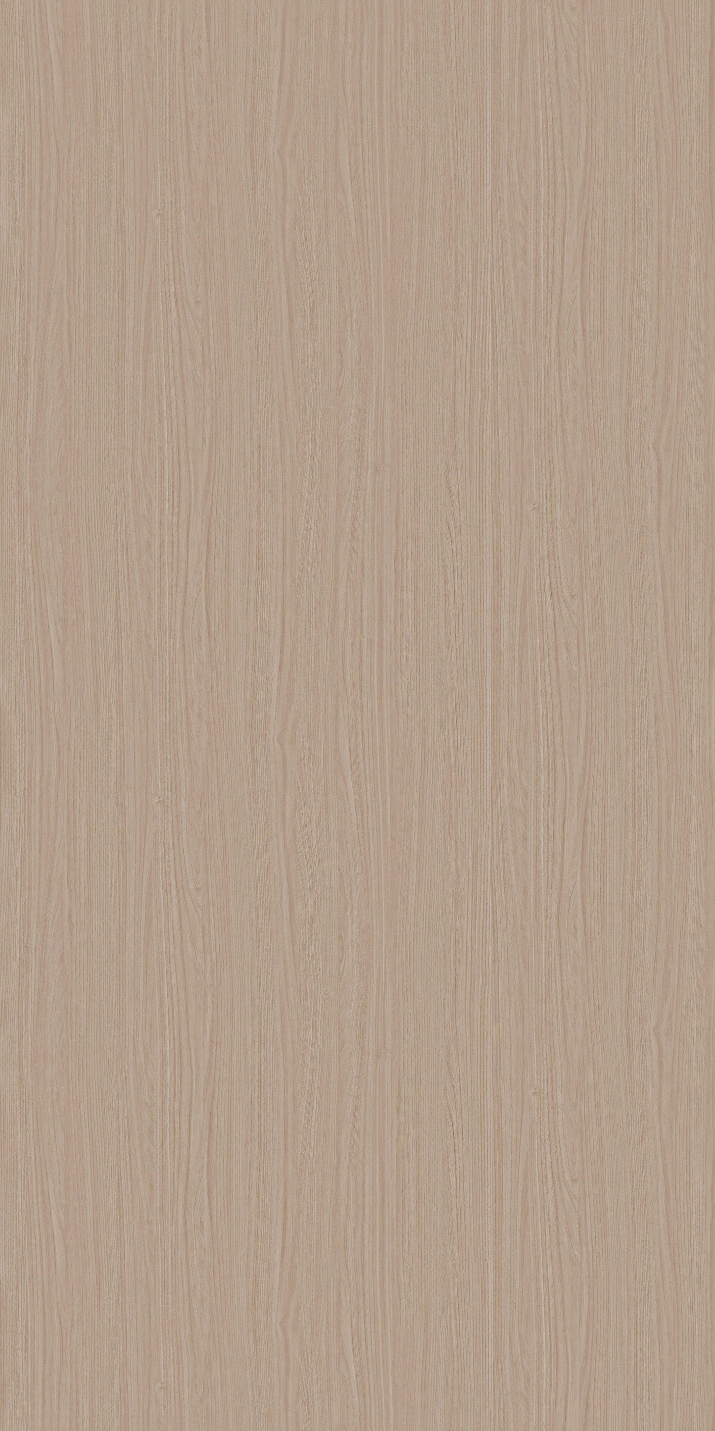 0878 - Acacia Wheat | Sample