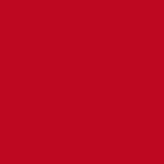 1238 - Carnaval | Sample