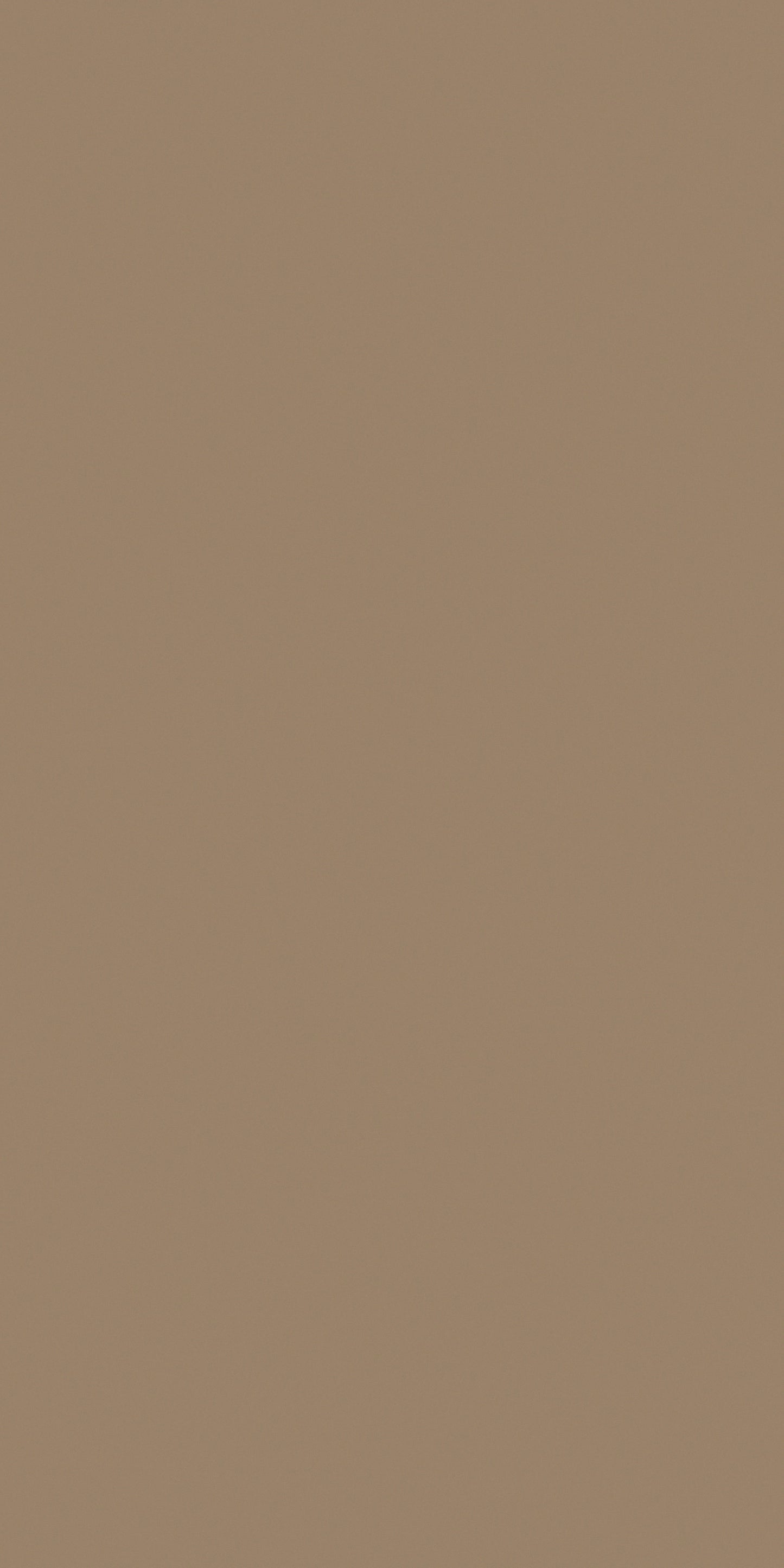 2196 - Plaster