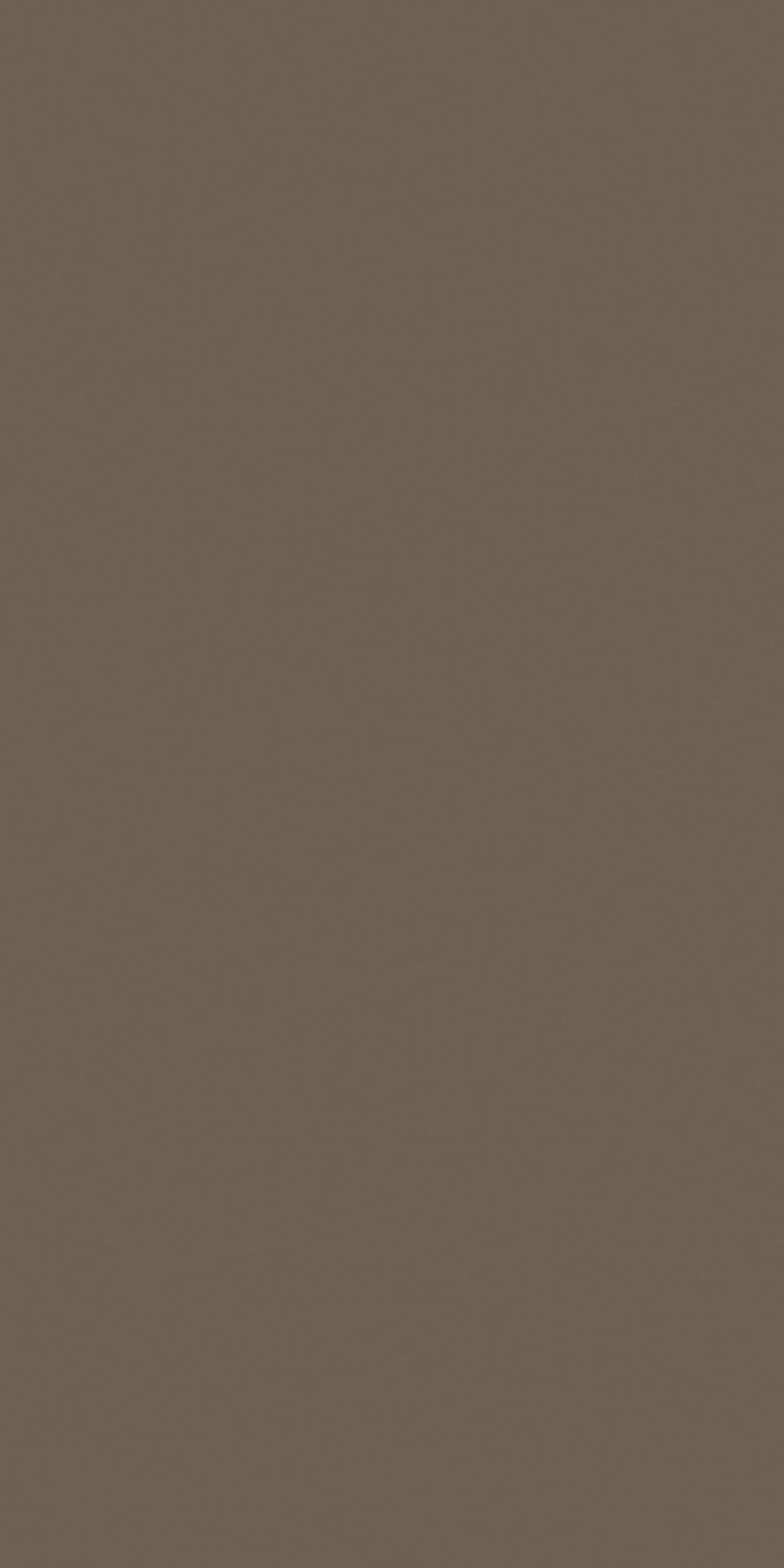 2198 - Bakery Brown | Sample