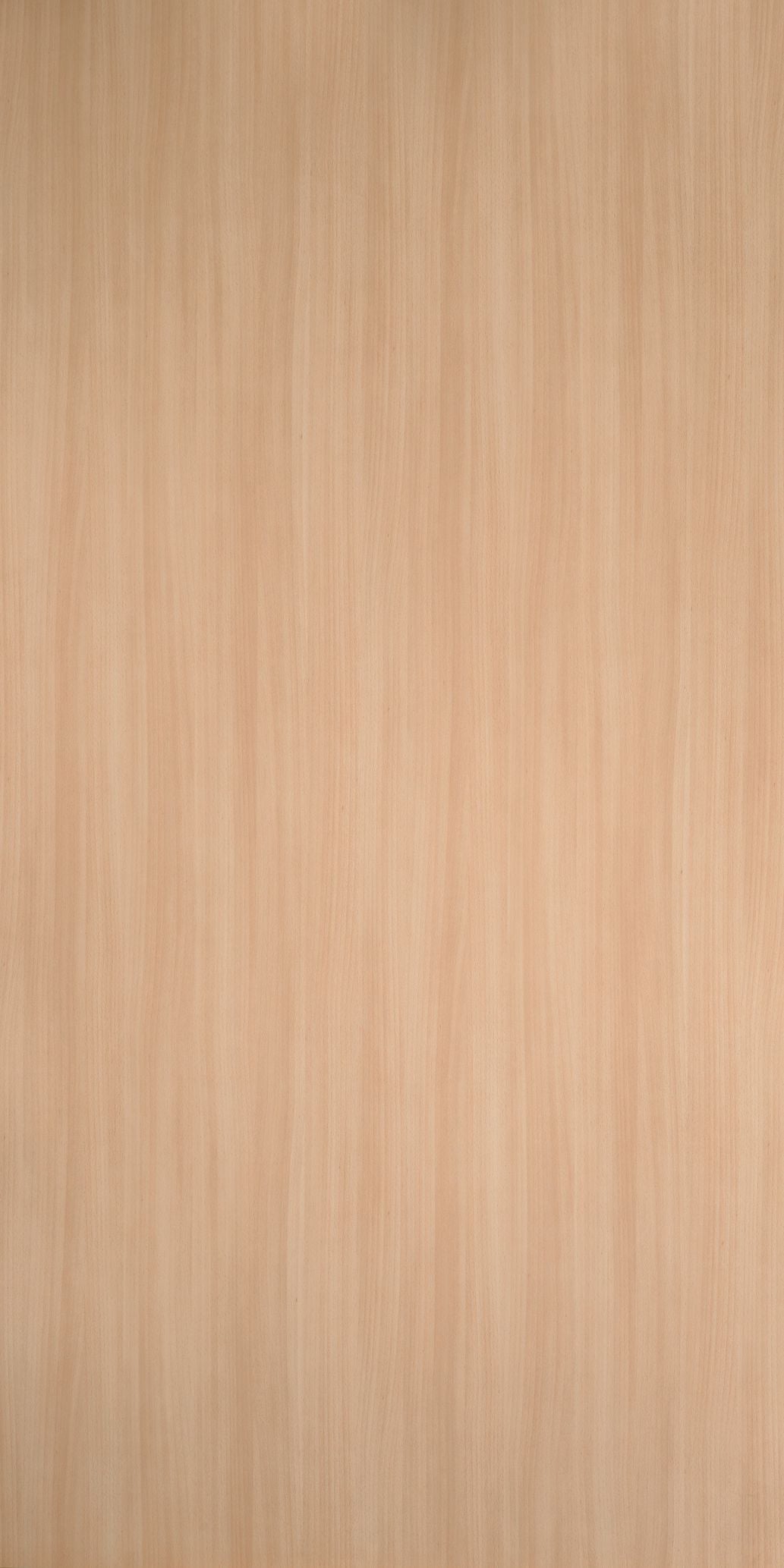 2726 - Natural Beech | Sample
