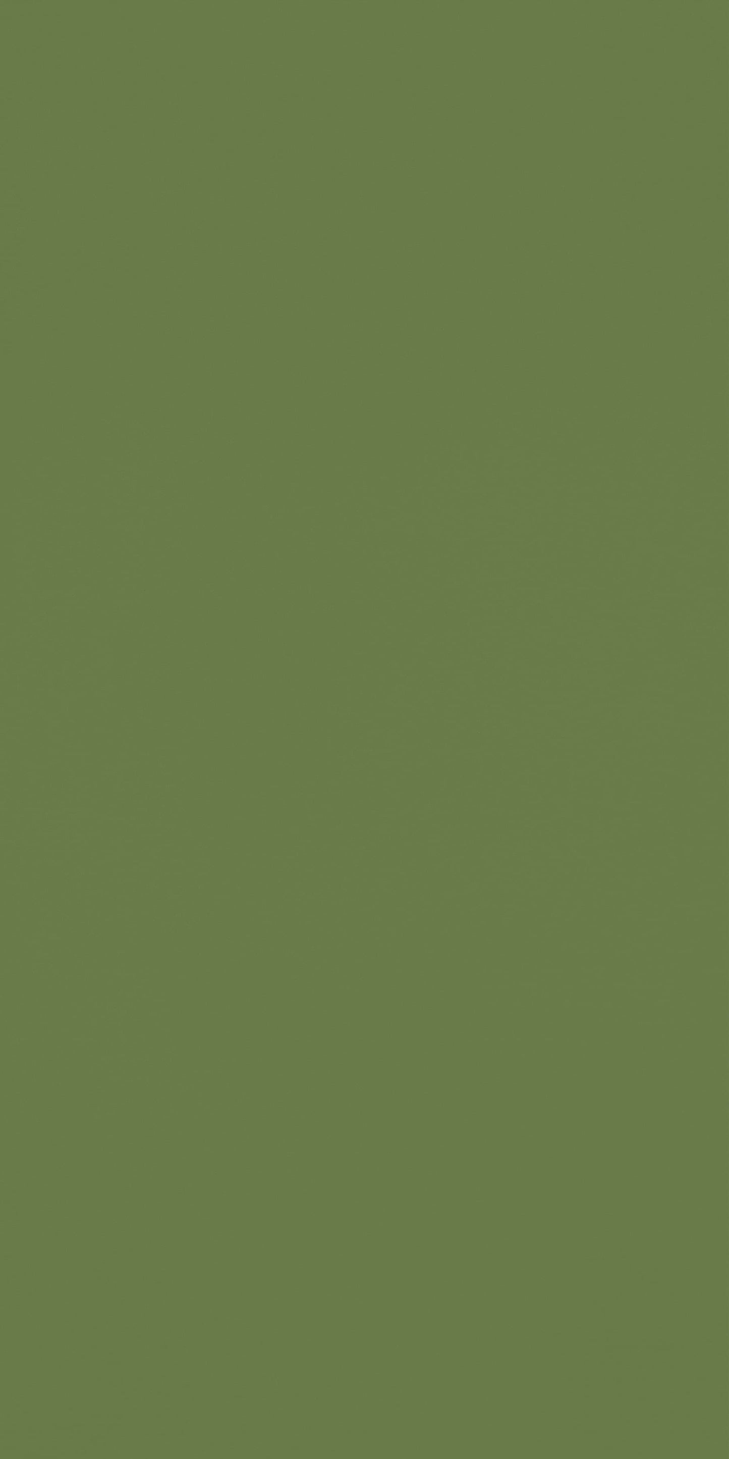 5044 - Laurentii | Sample