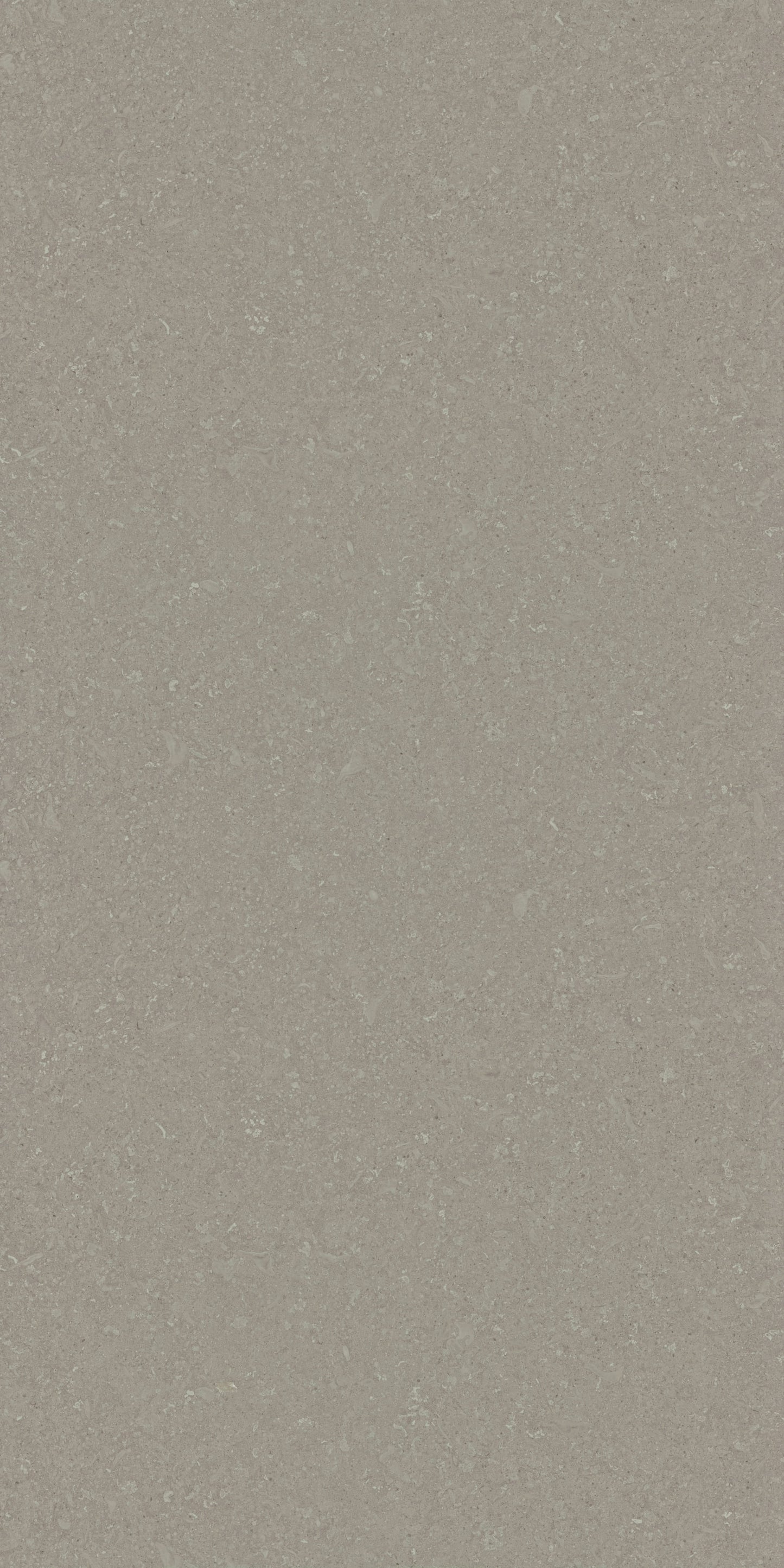 5052 - Portland Shellstone | Sample