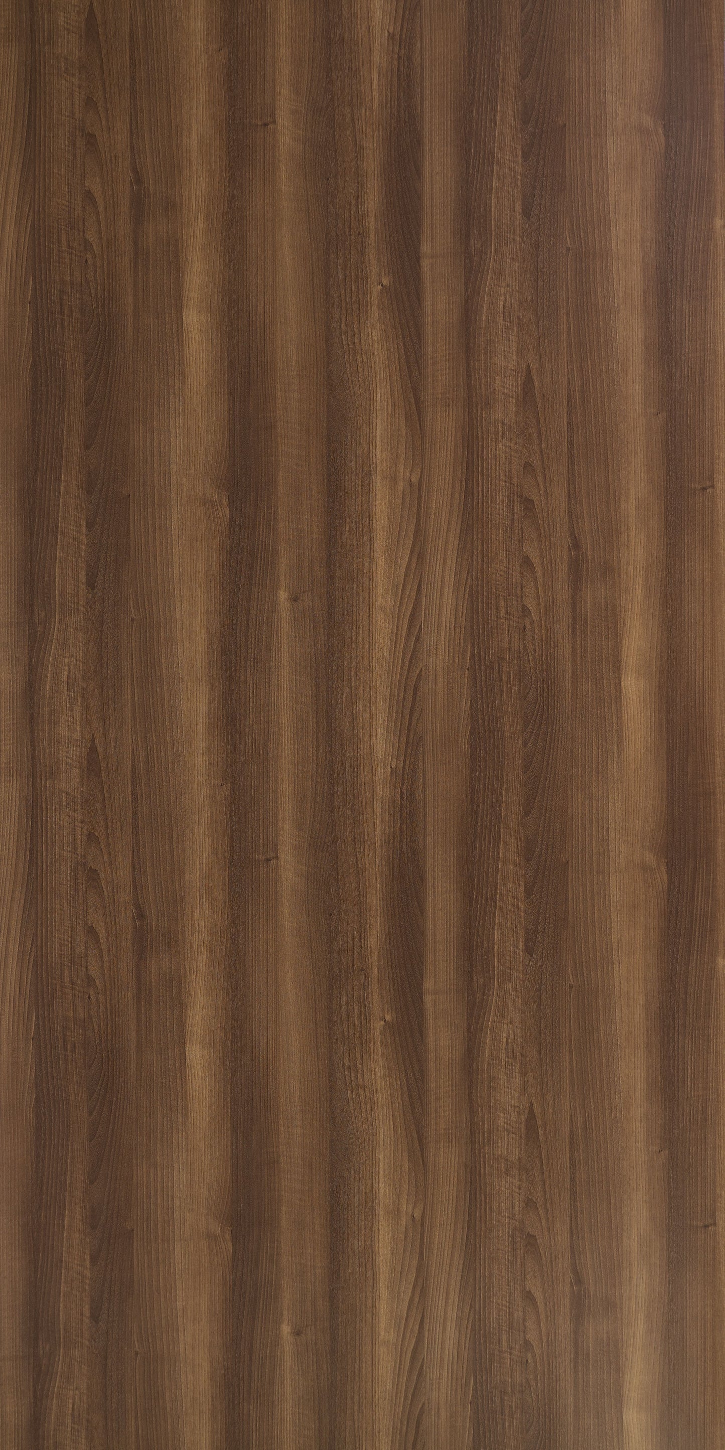 5150 - Amercian Walnut | Sample