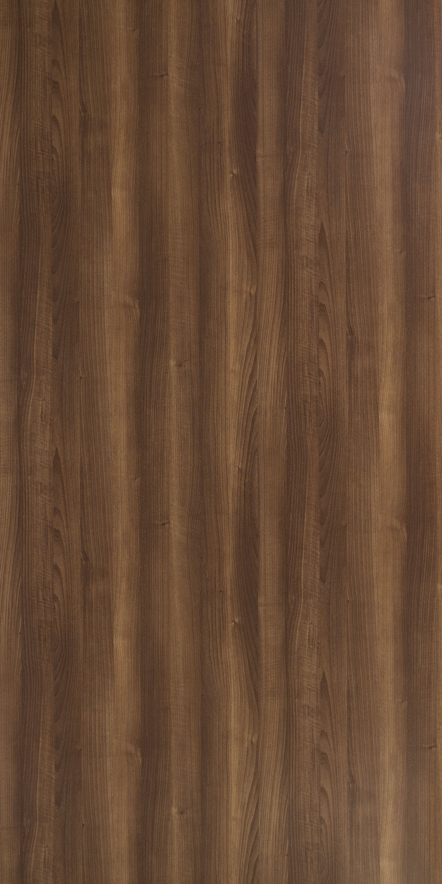 5150 - Amercian Walnut | Sample