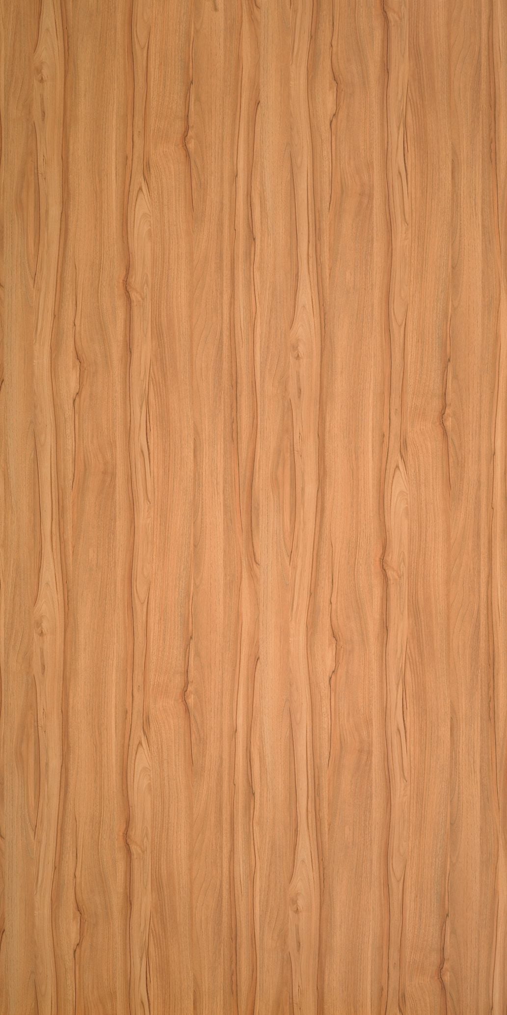 5486 - Classic Walnut | Sample