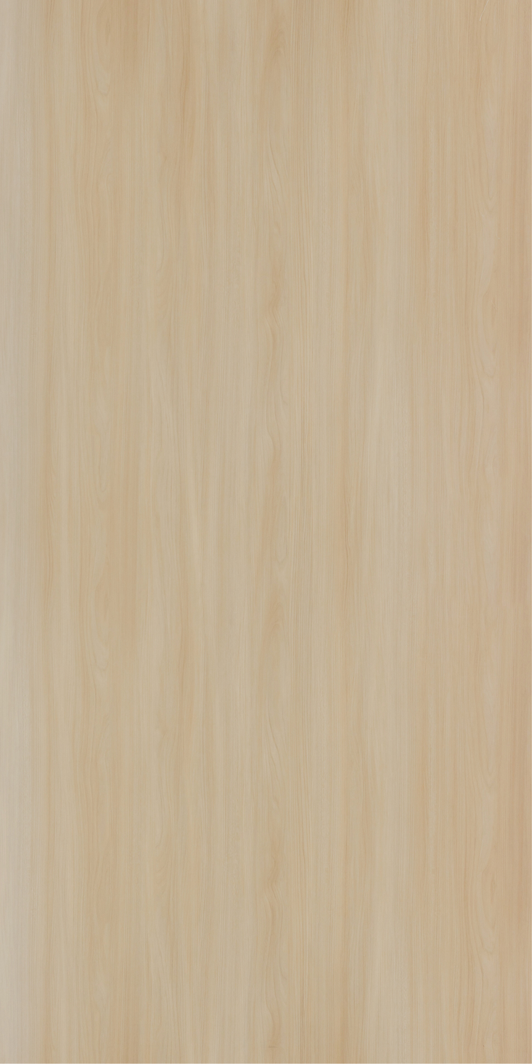 5542 - Gentle Elm | Sample