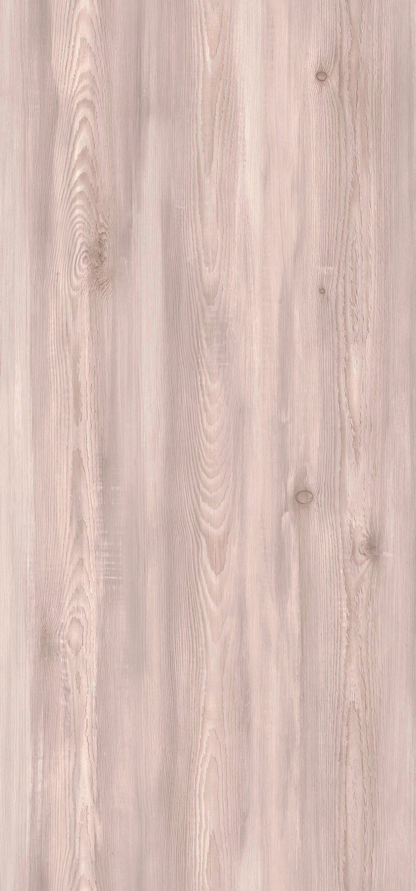 J5667 - Rovere Cattedrale