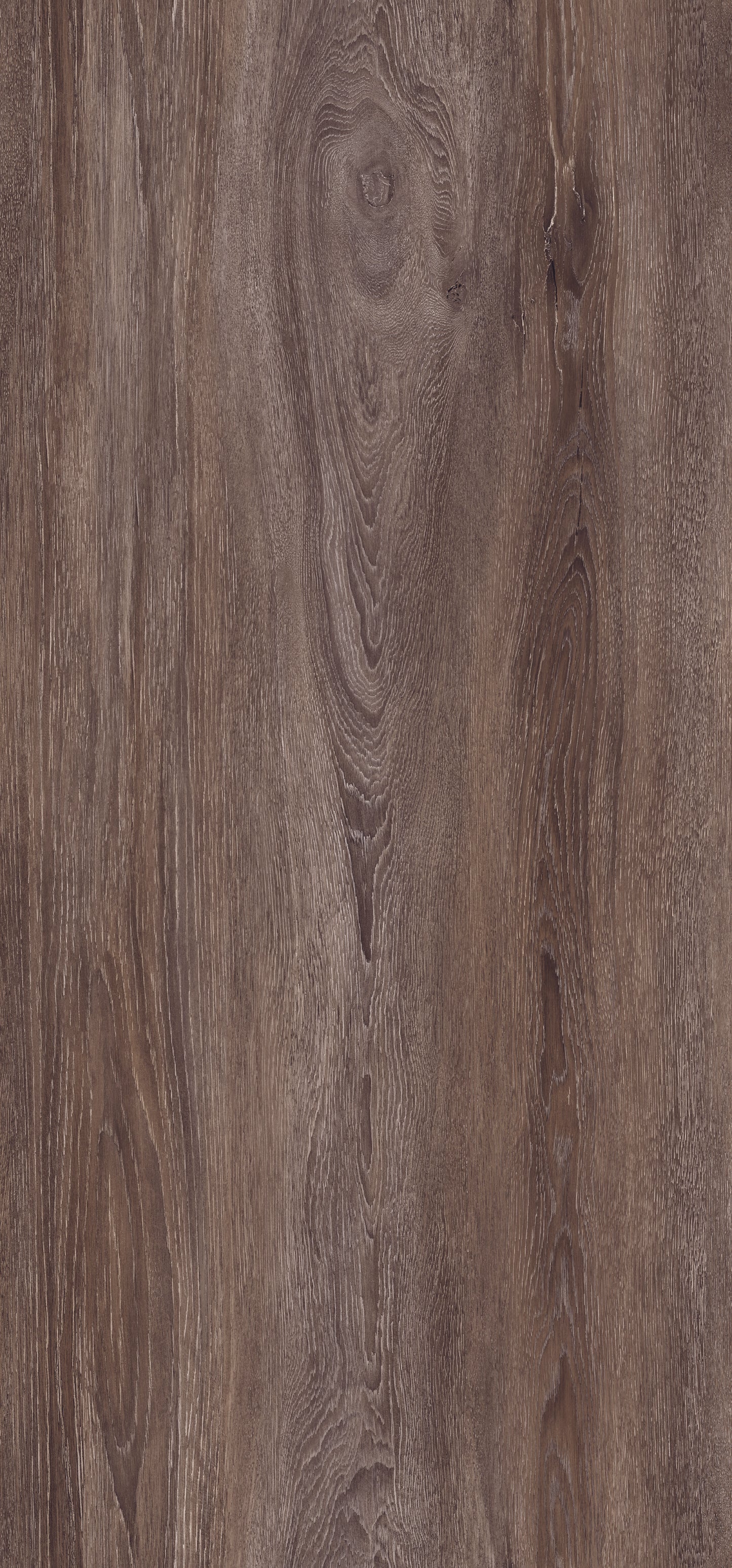 J5670 - Rovere Contemporaneo