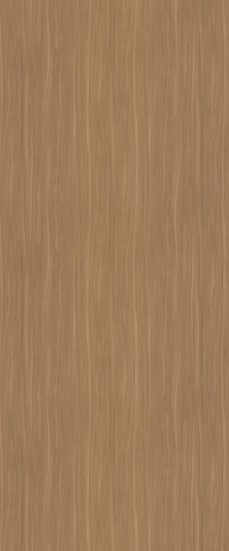 5794 - Beige Elm | Sample