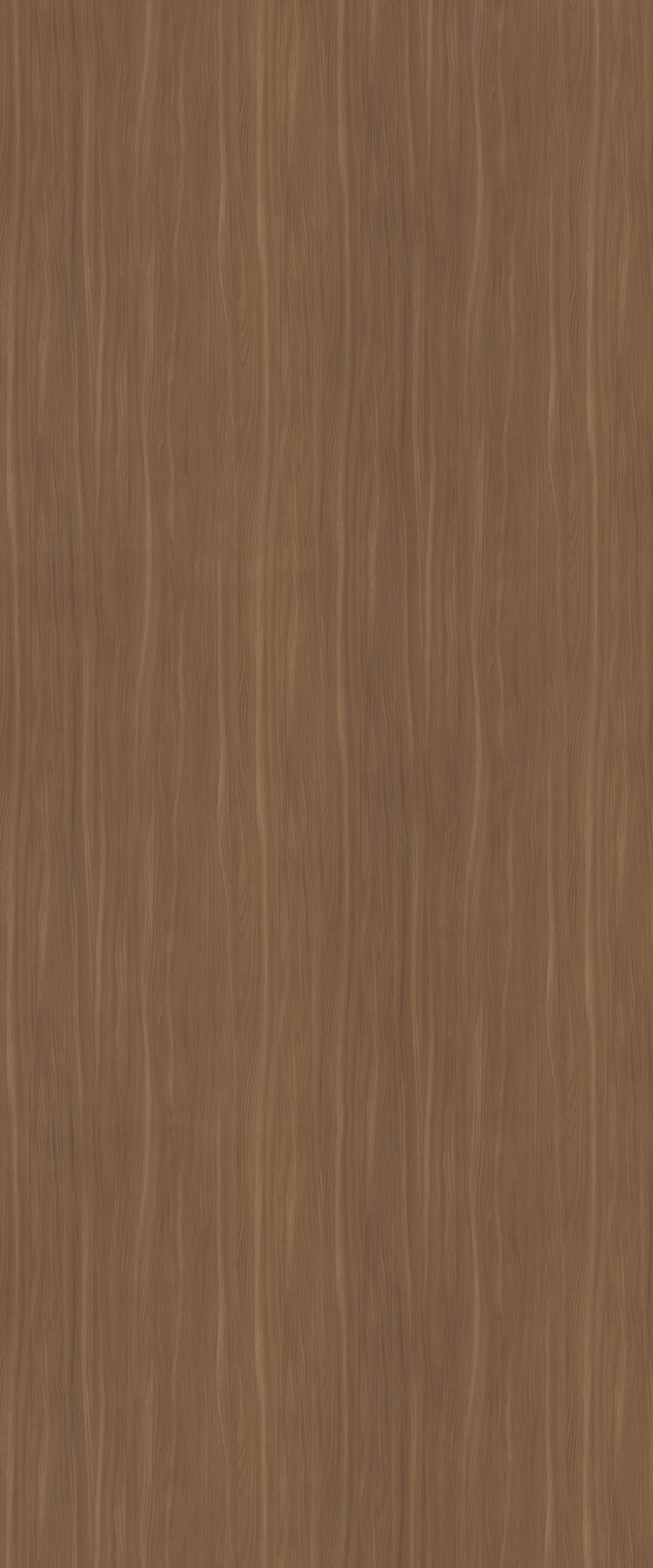 CR5795 - Camel Elm