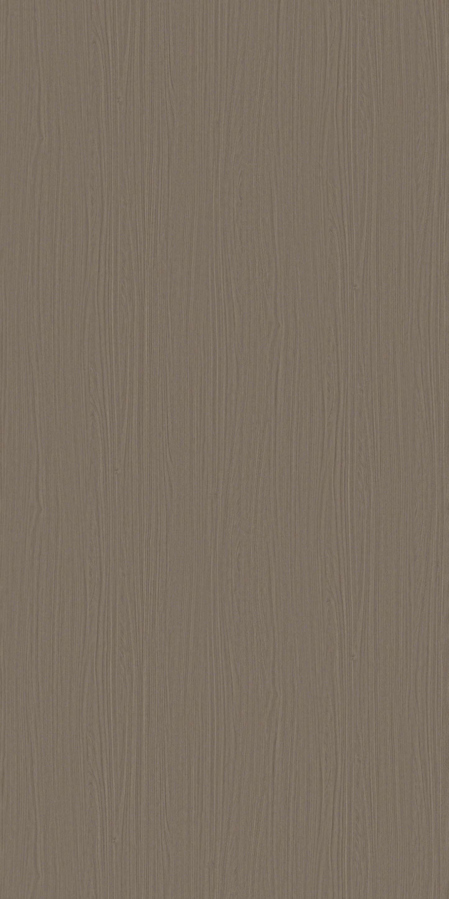 5966 - Acacia Naturale