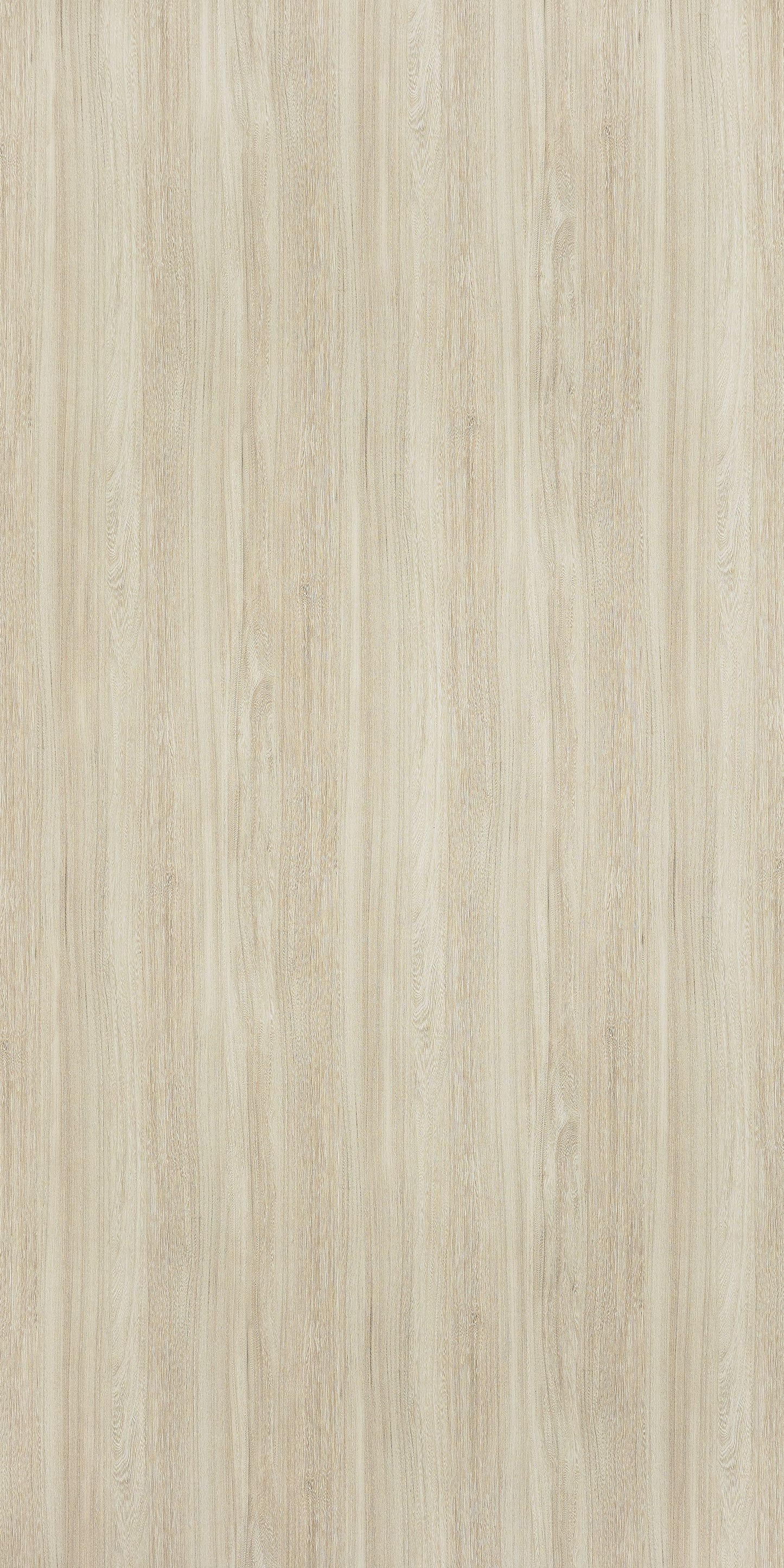 6404 - Bleached Elm | Sample
