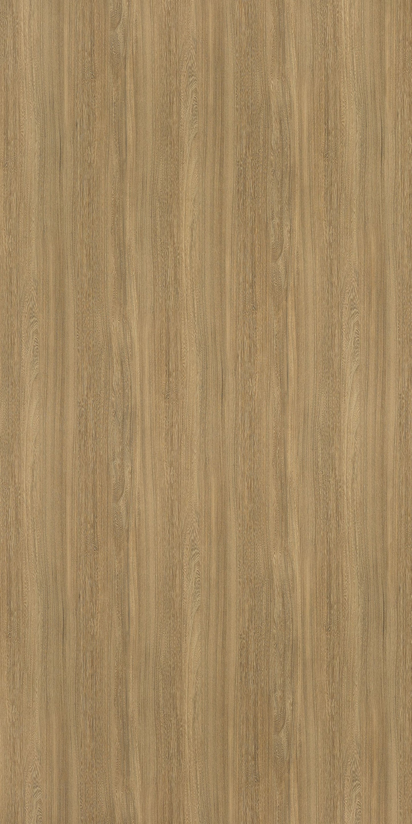 6407 - Honey Elm | Sample