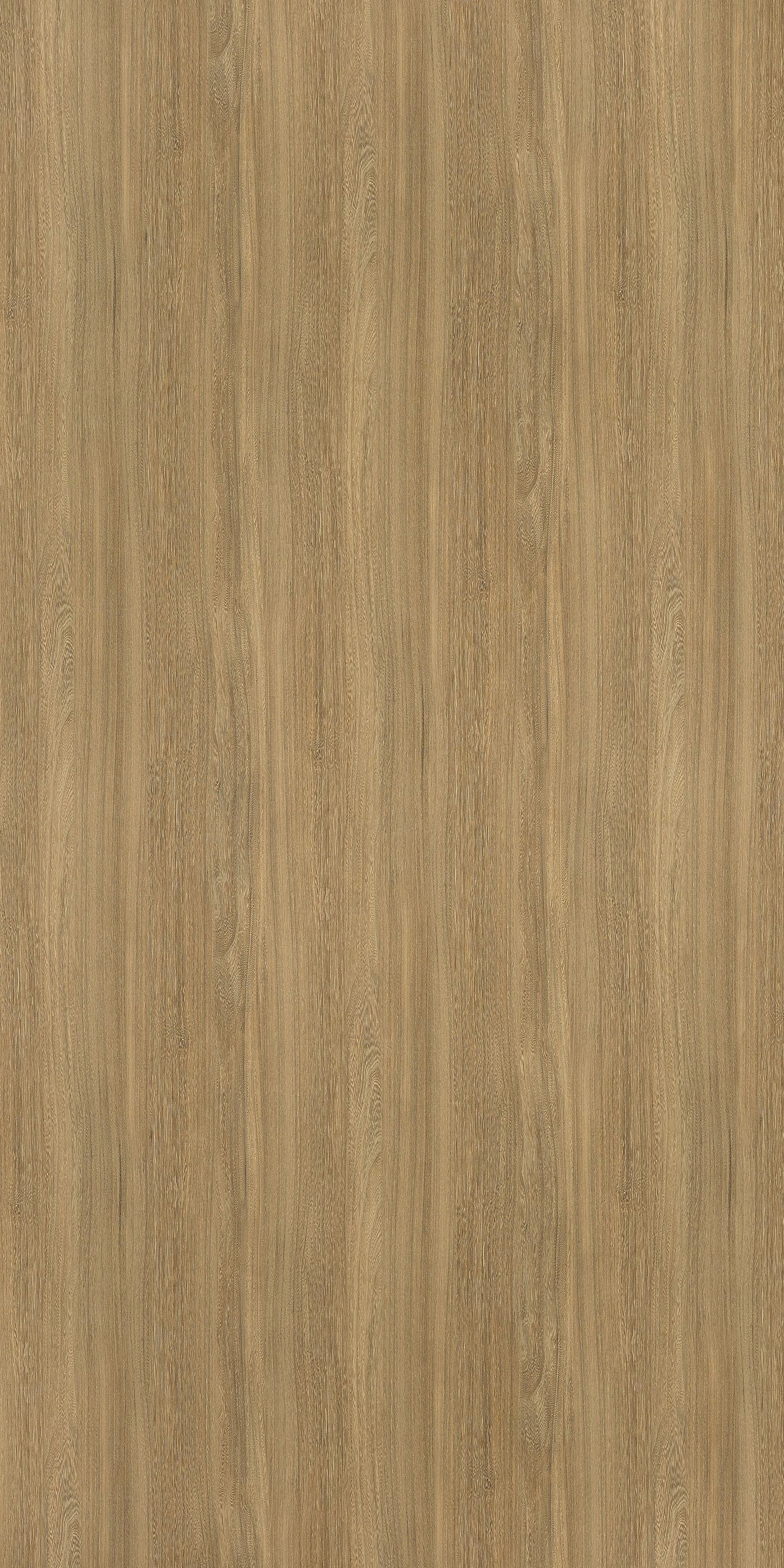 6407 - Honey Elm | Sample