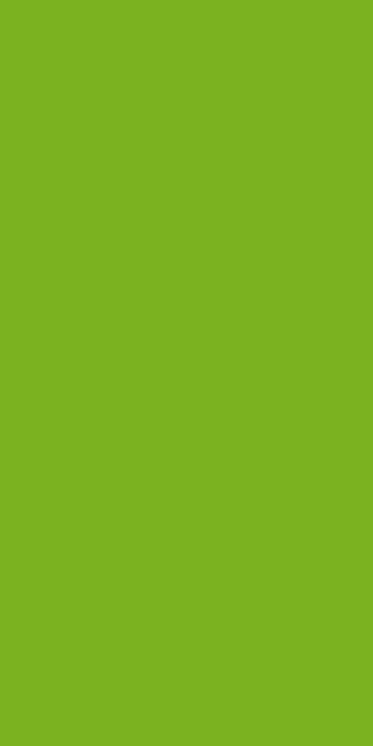 6901 - Vibrant Green | Sample