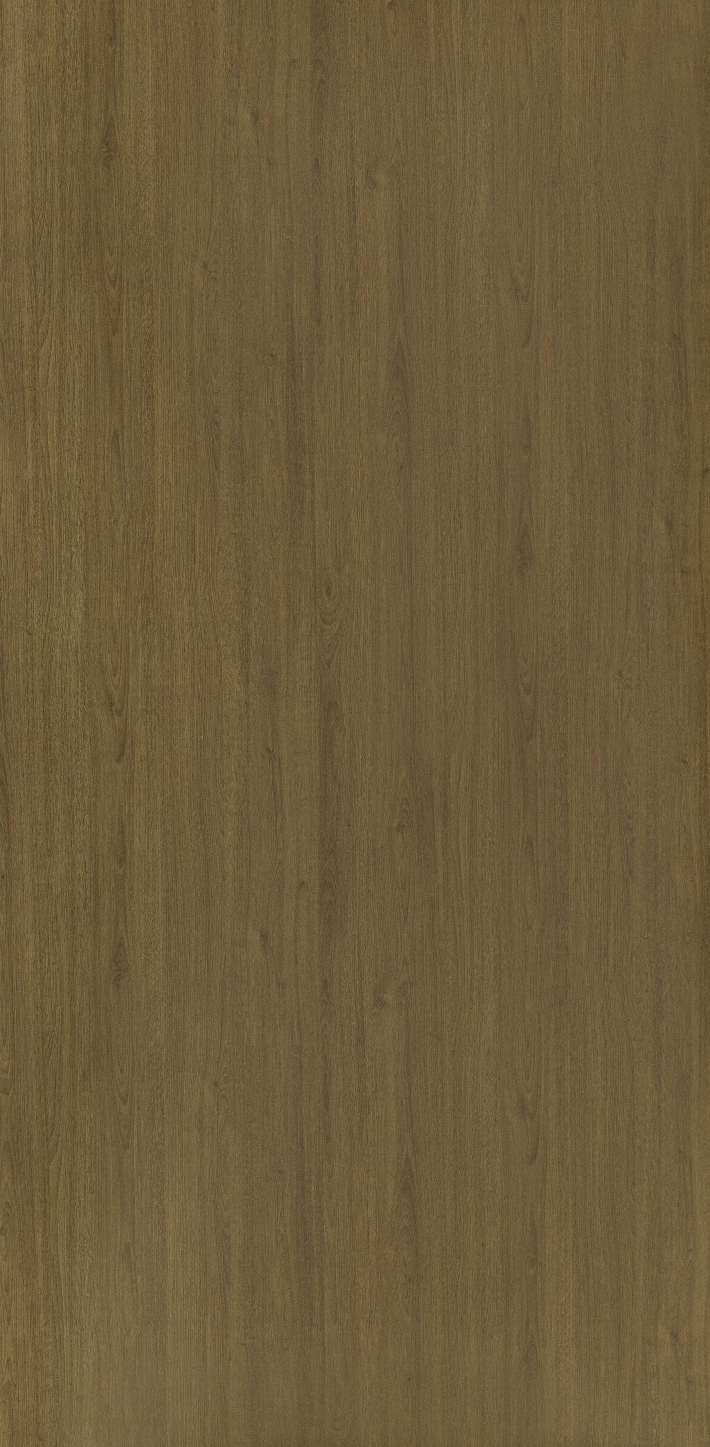 7389 - Select Tan Oak | Sample