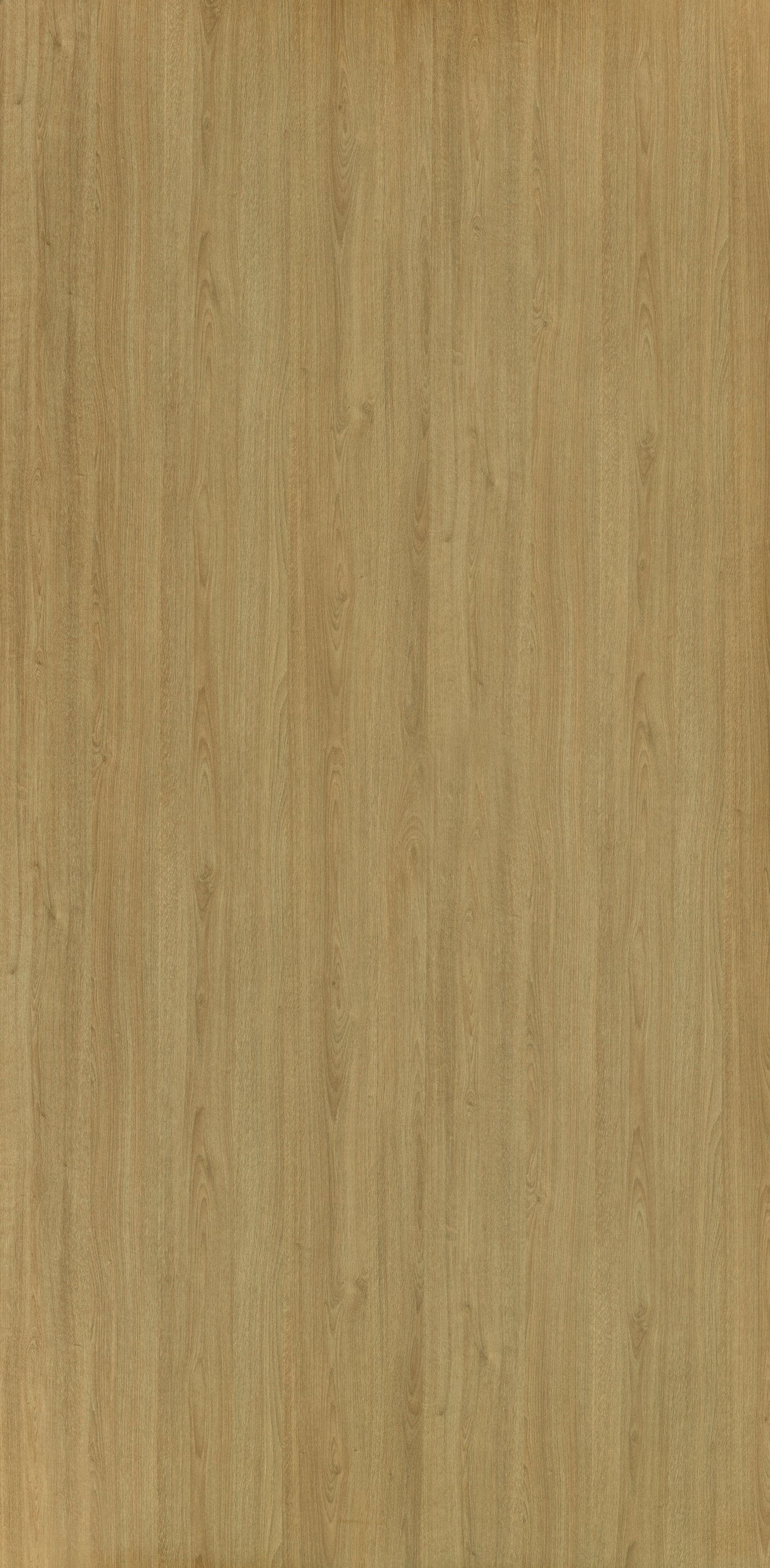 7393 - Select Fawn Oak | Sample