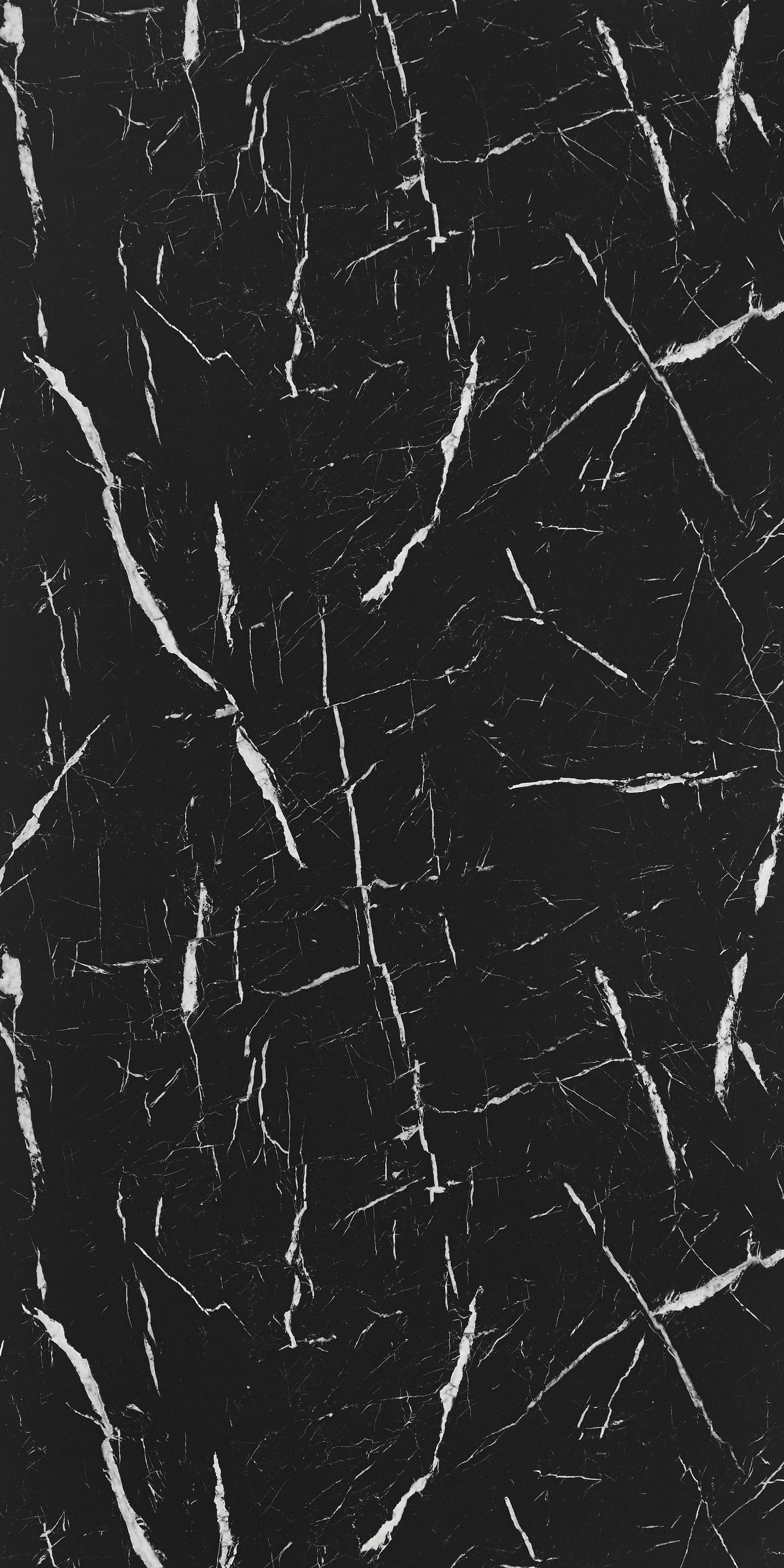 7403 - Nero Marquina | Sample