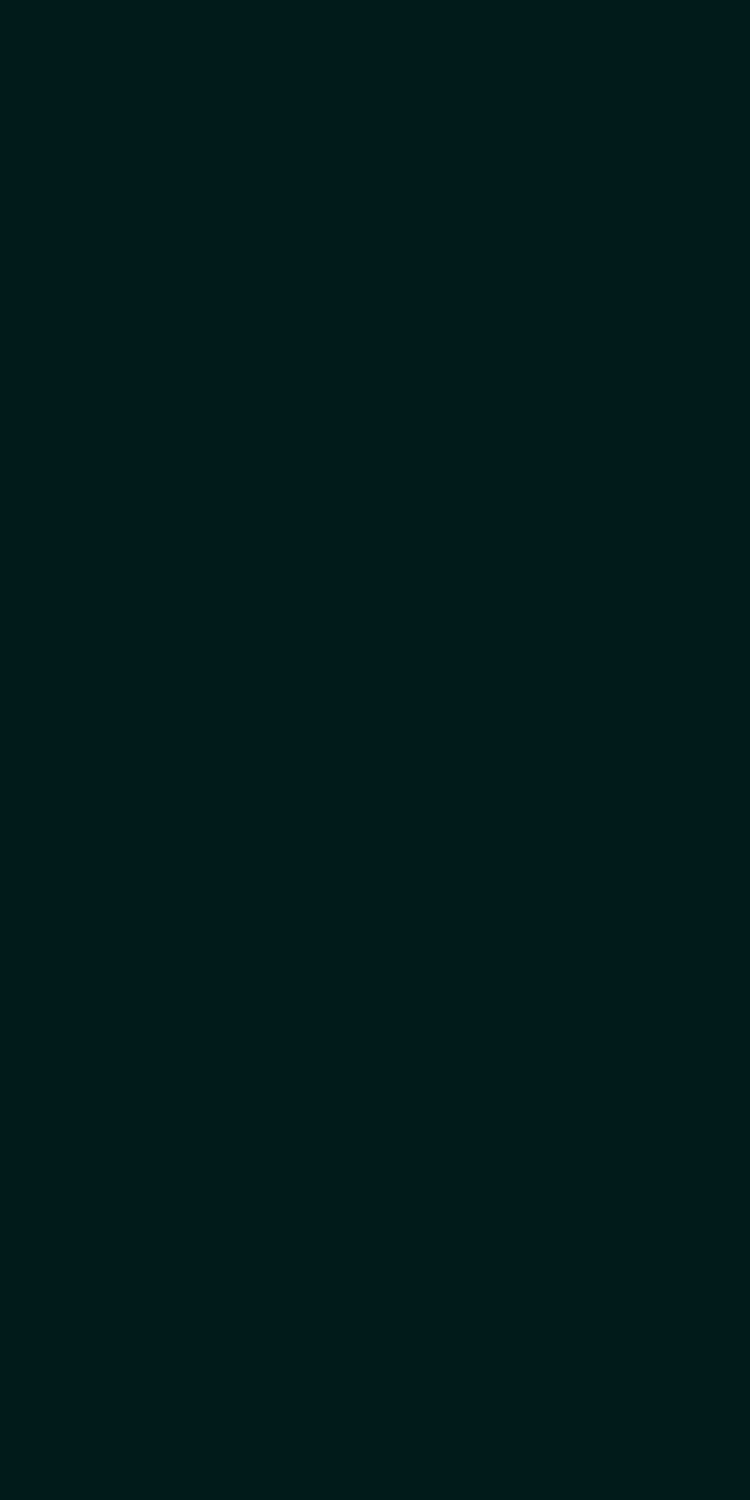 8244 - Night Forest | Sample
