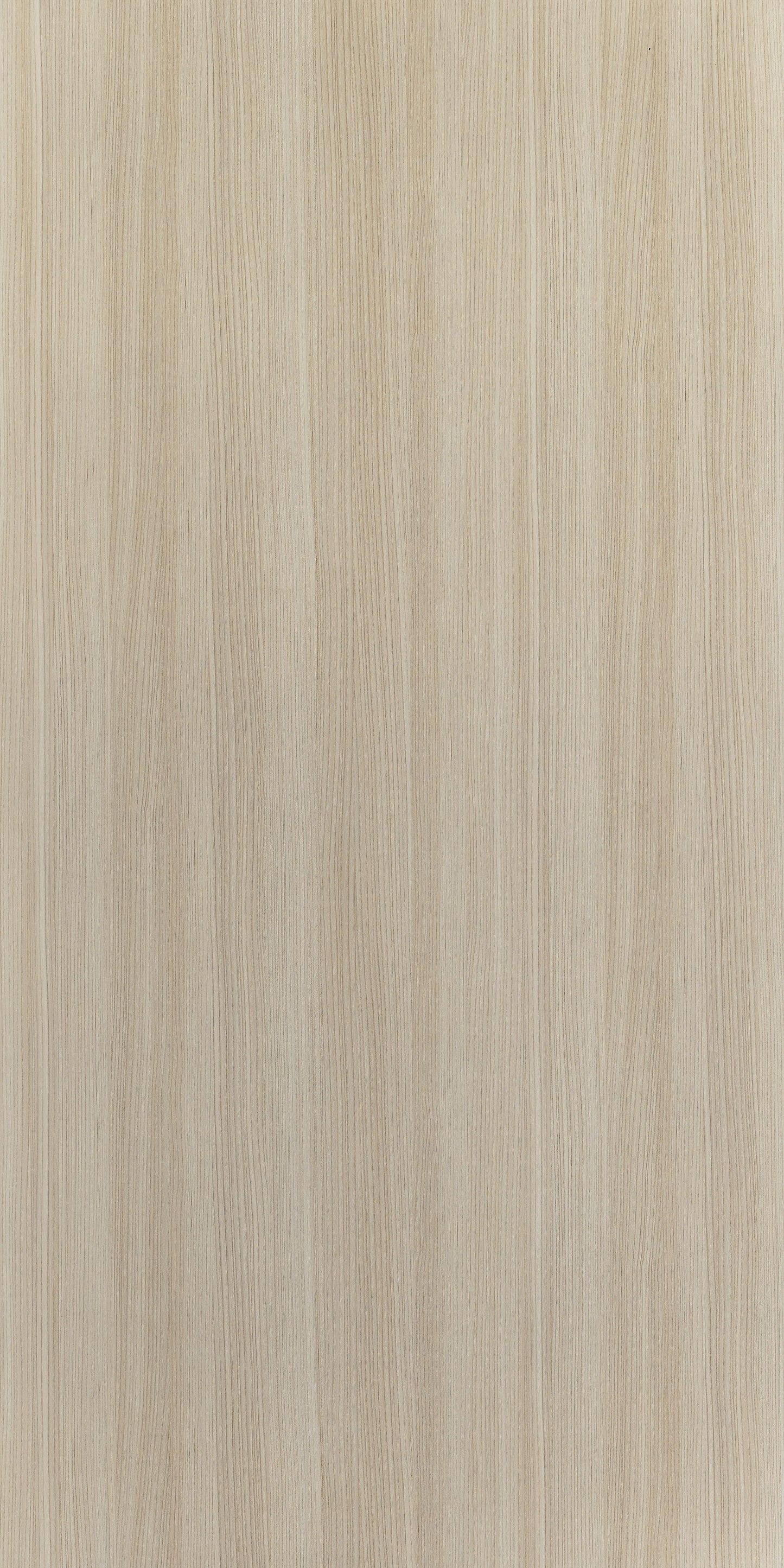 8578 - Sund Elm | Sample
