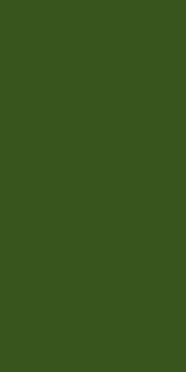 8796 - Algae | Sample