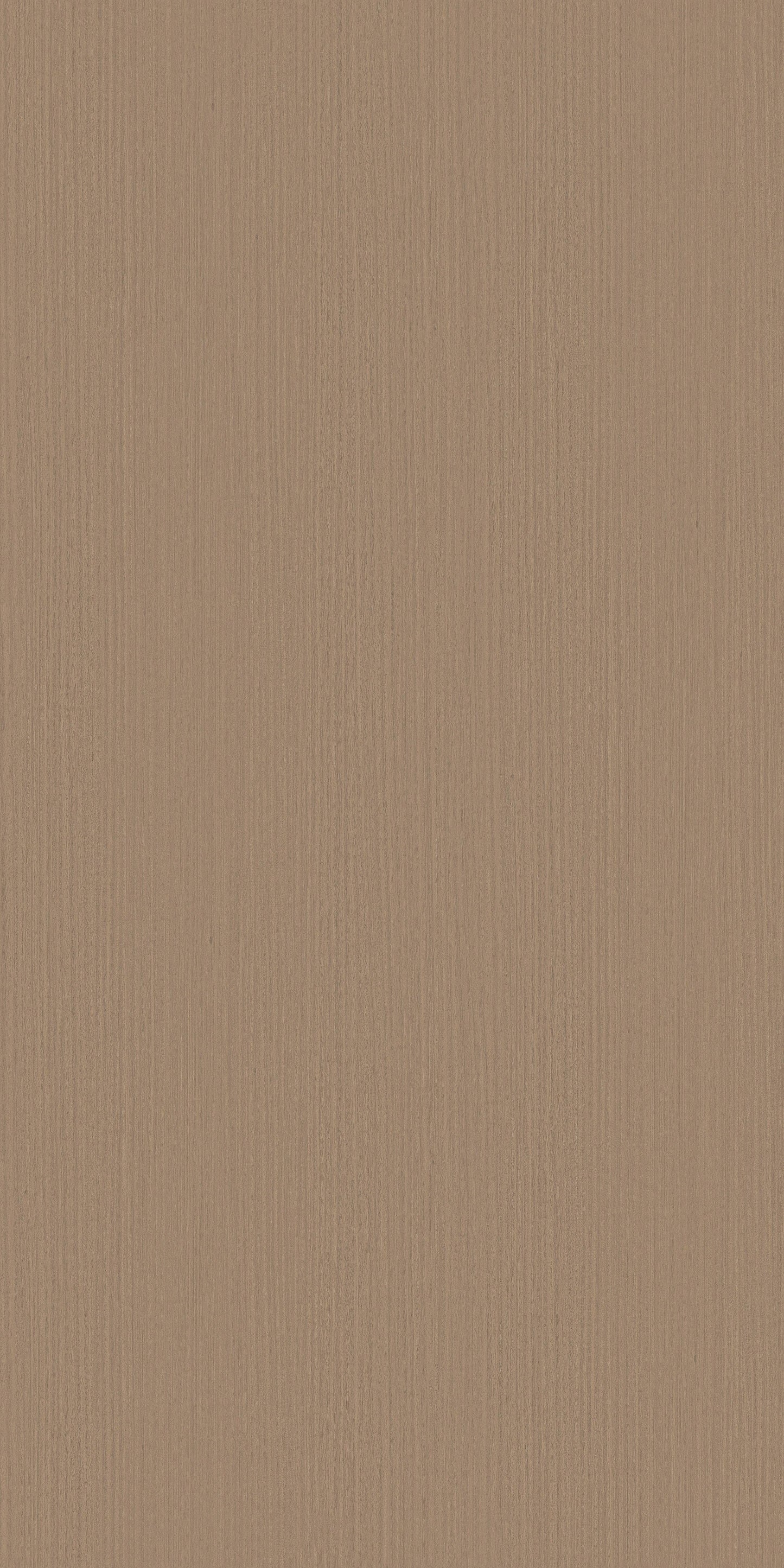 8806 - Eucalyptus Naturale