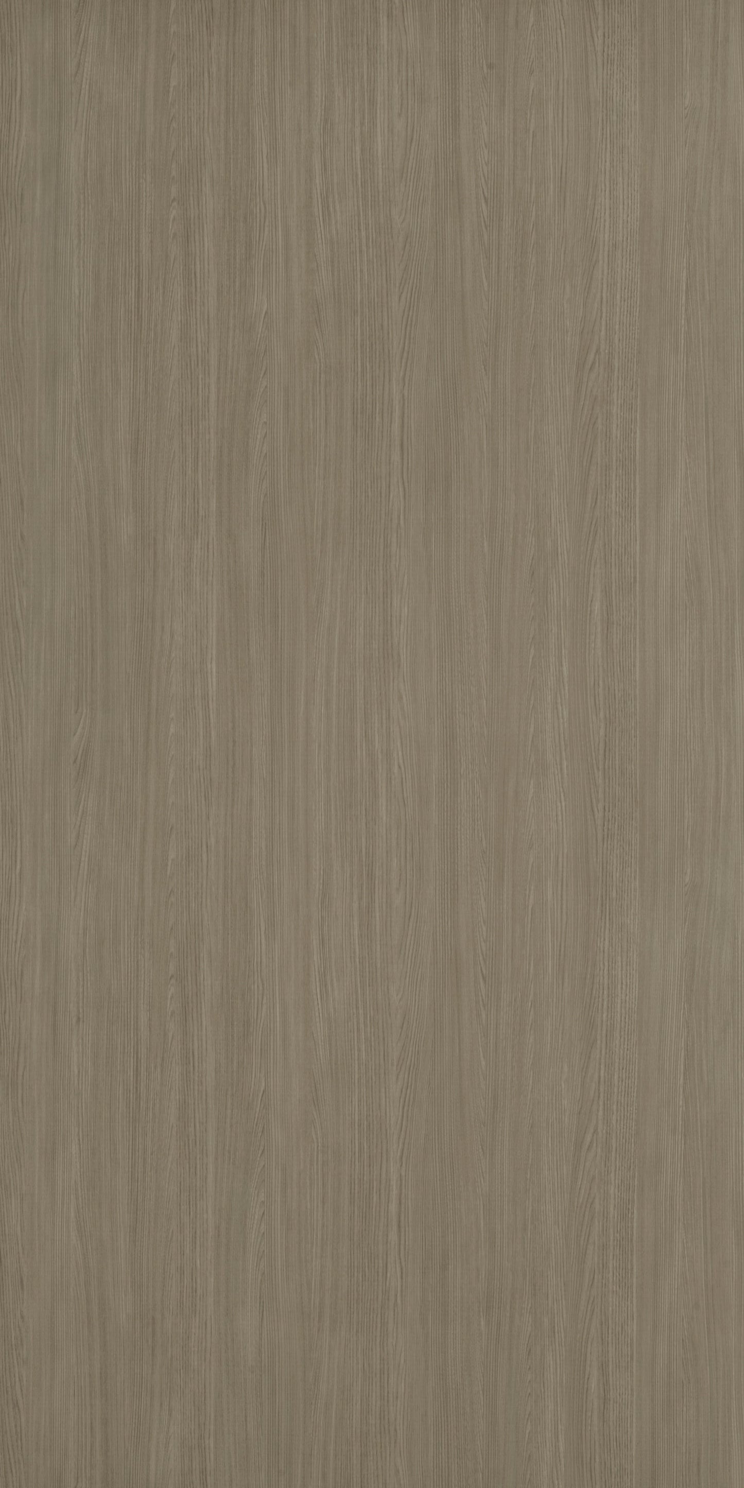 8842 - Weathered Ash | Sample