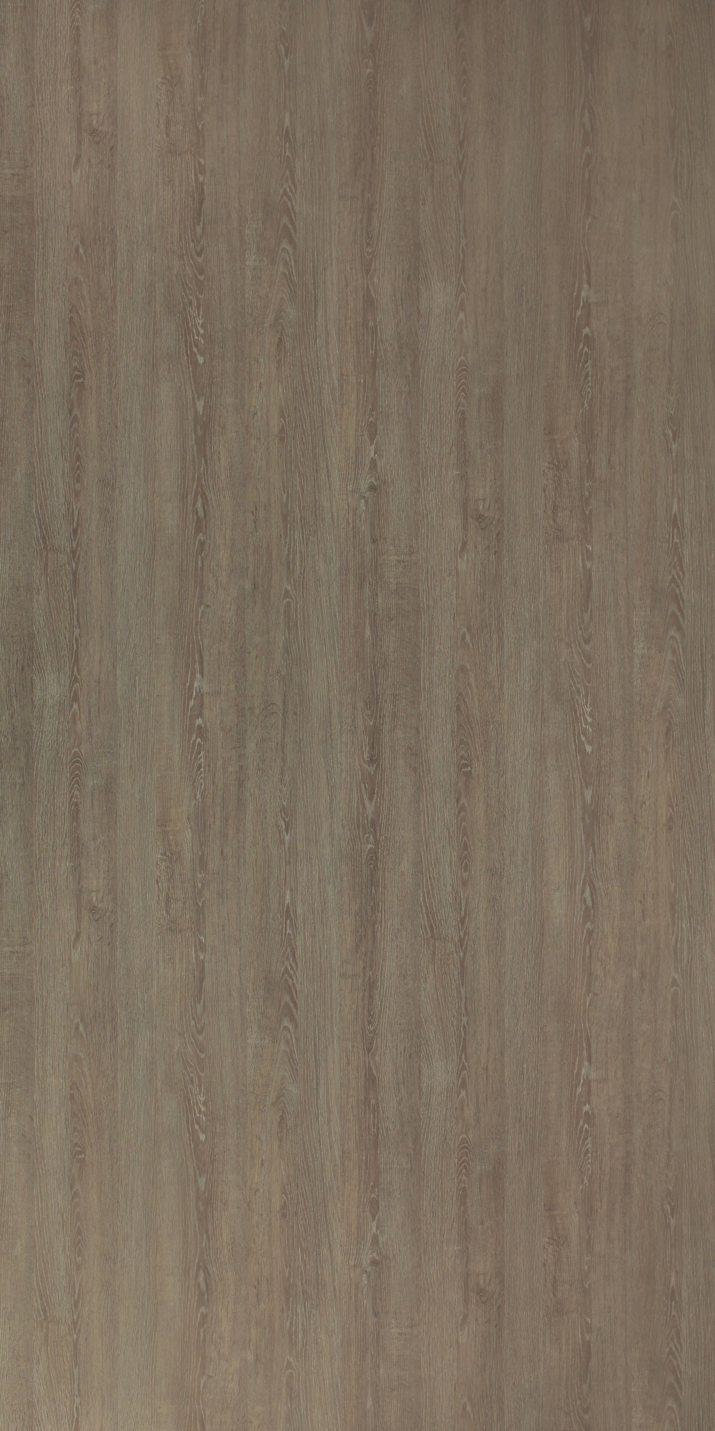 8853 - Rural Oak | Sample