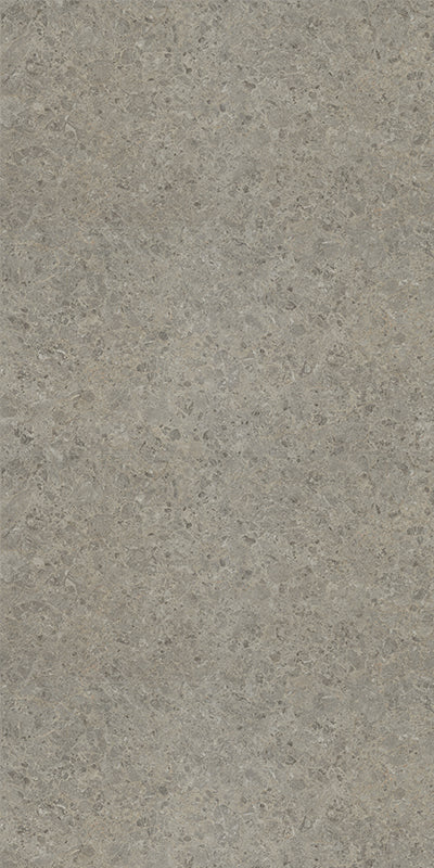 9307 - Silver Shalestone | Sample