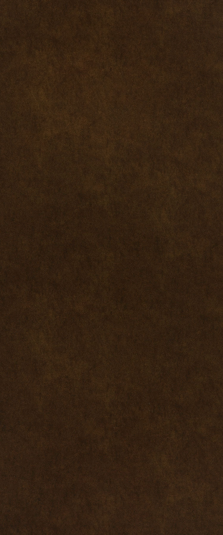 9365 - Bronze Leather | Sample