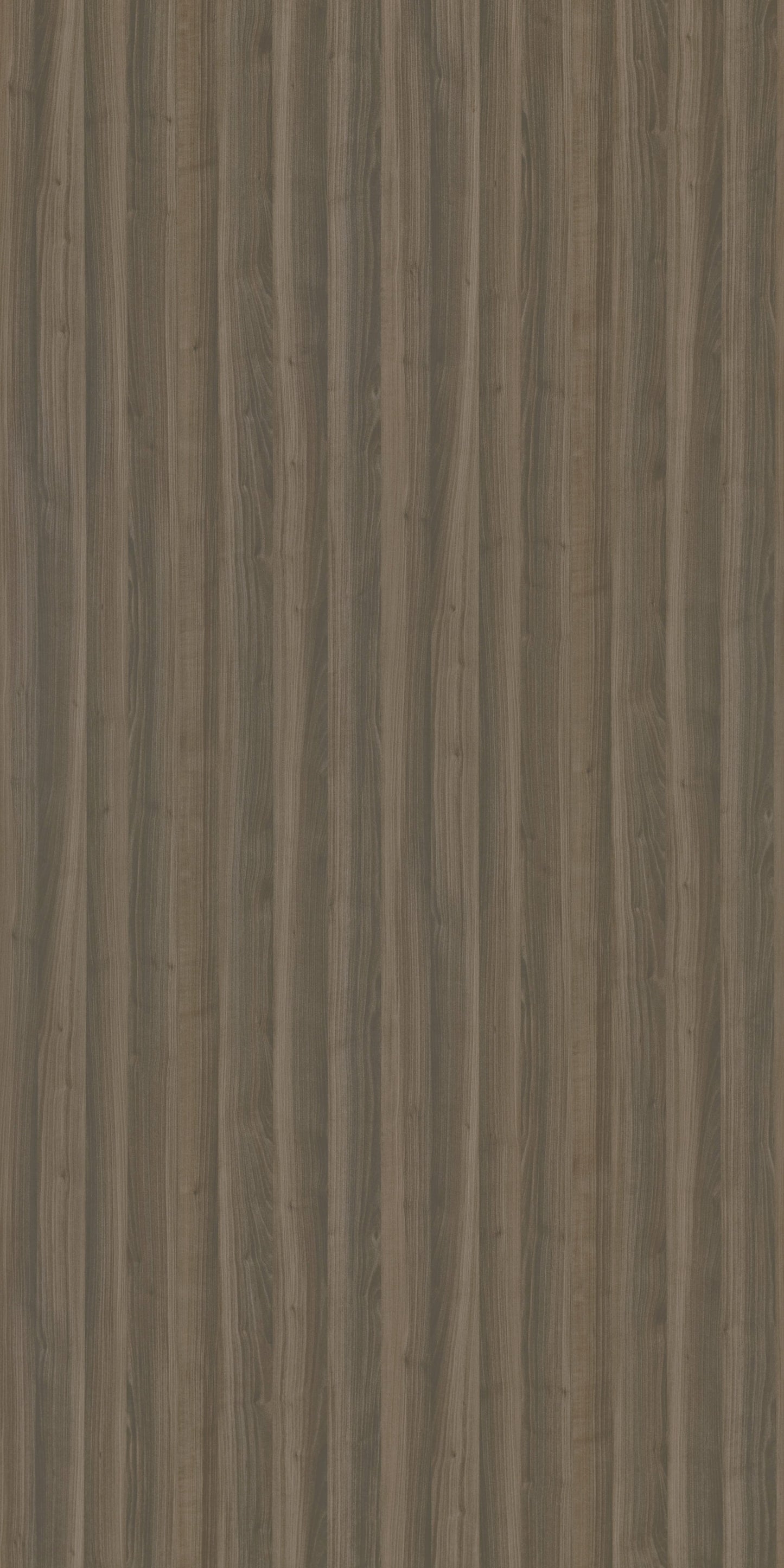9931 - Toffee Exotic | Sample