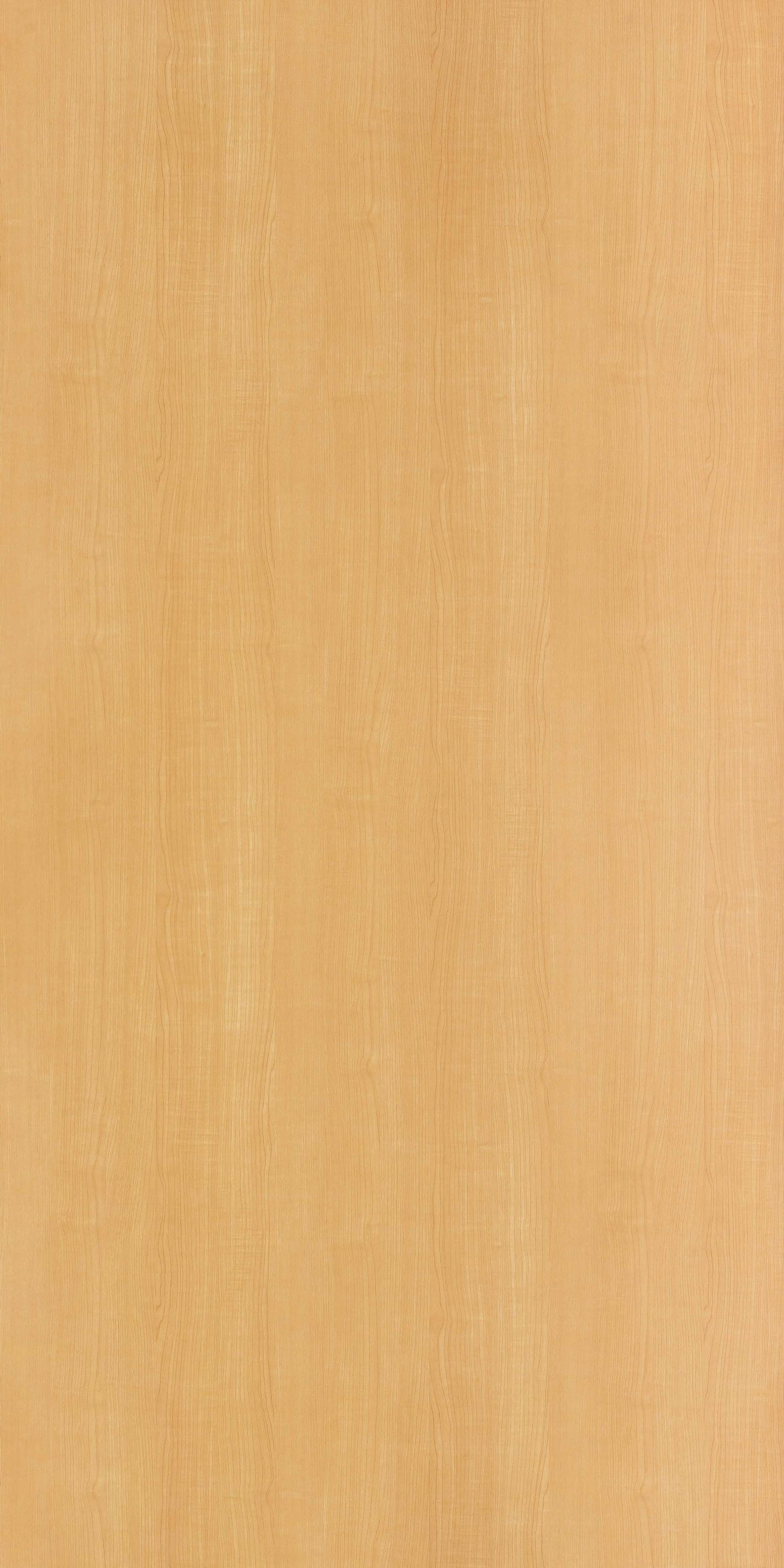 9943 - Clean Sycamore | Sample