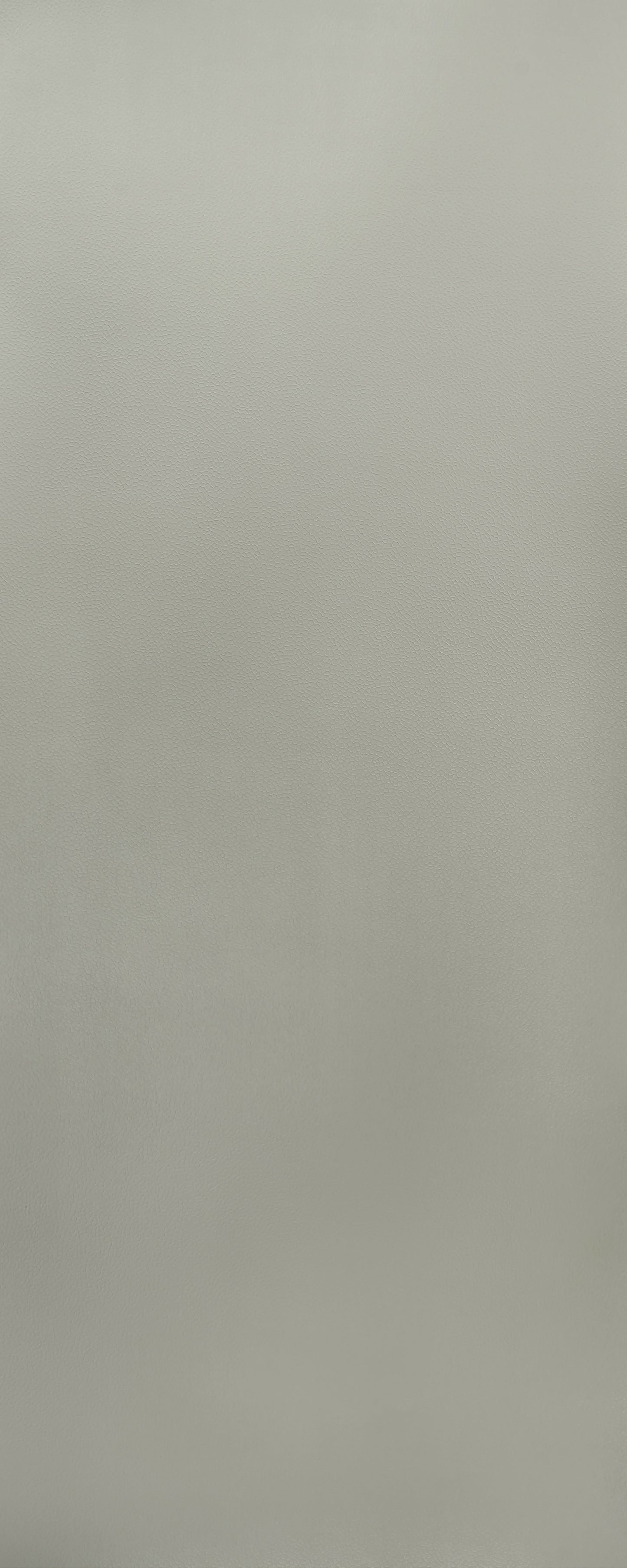 D6428 - Hammered Argent