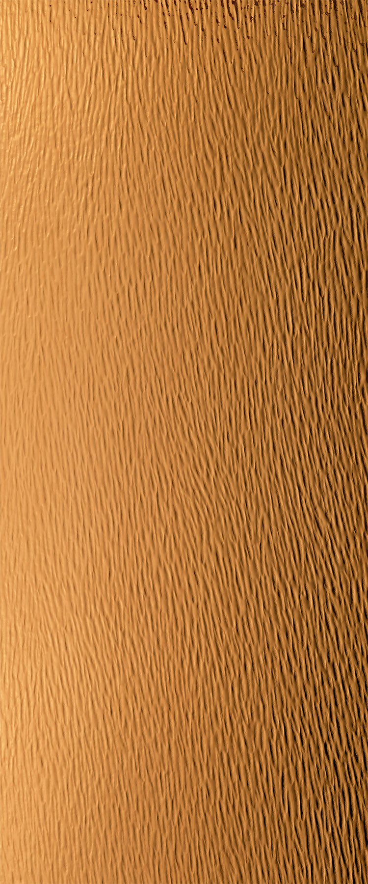 D8283 - Cascade Tea | Sample