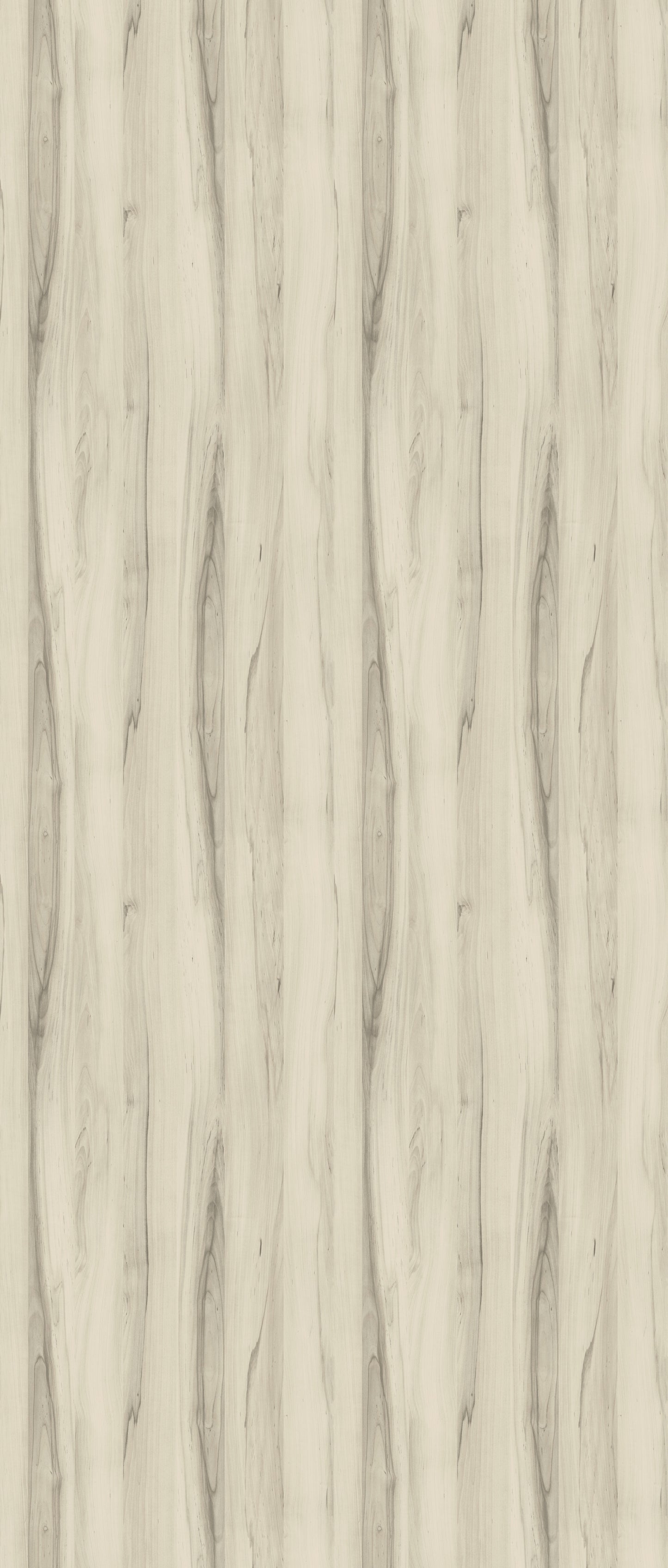 J5653 - Betulla | Sample