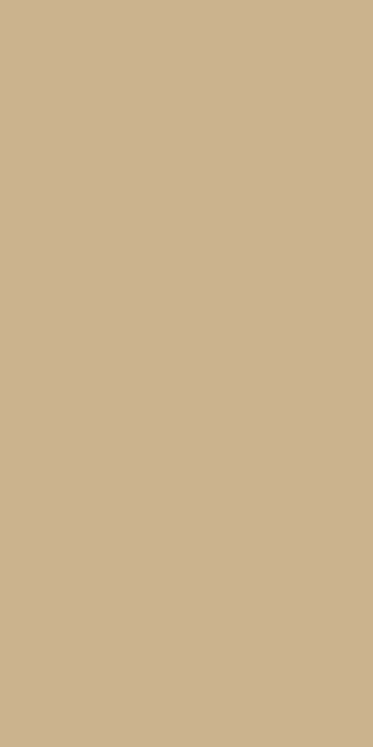 0958 - Beige | Sample