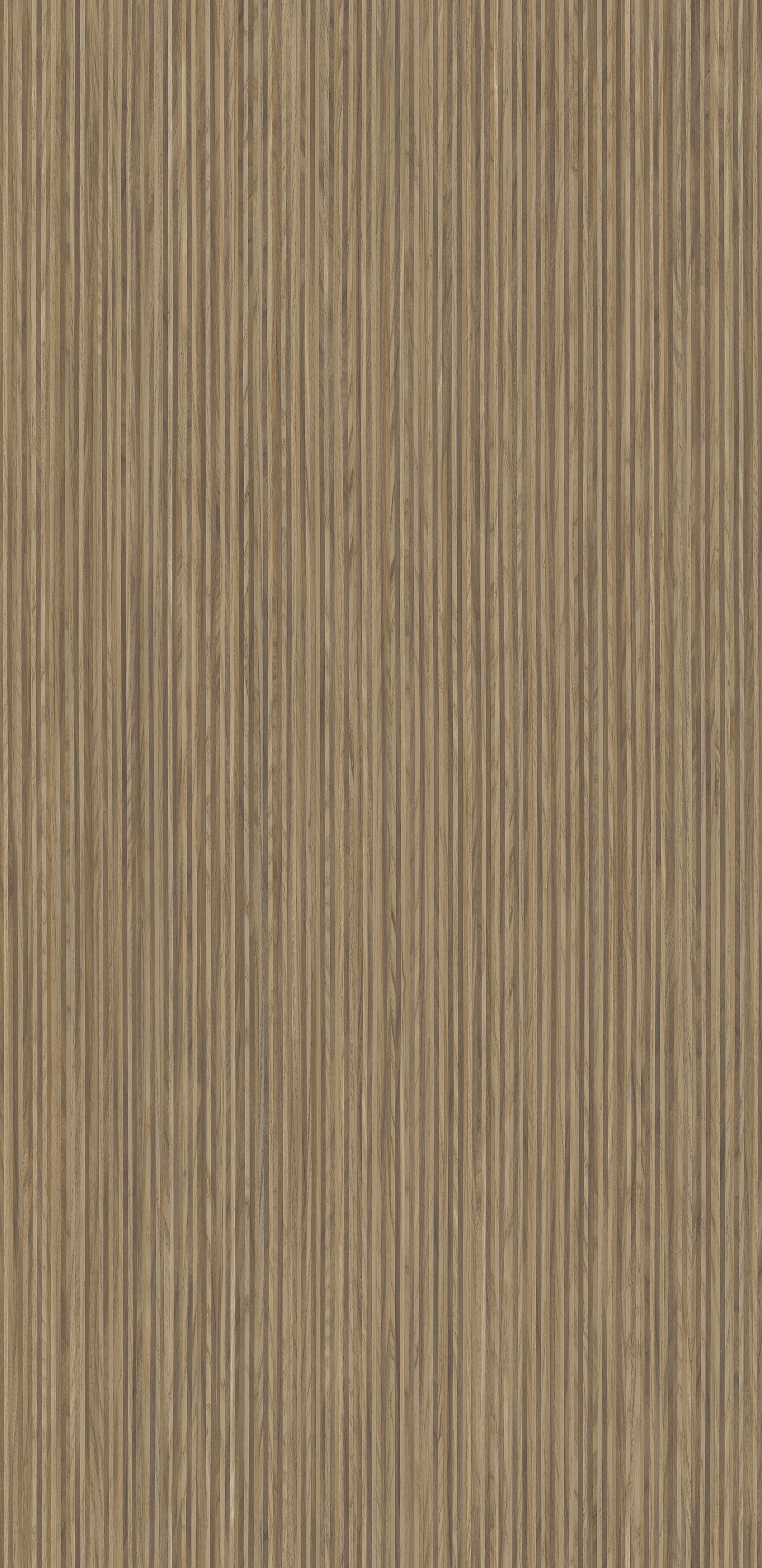 4644 - Caravella Light | Sample