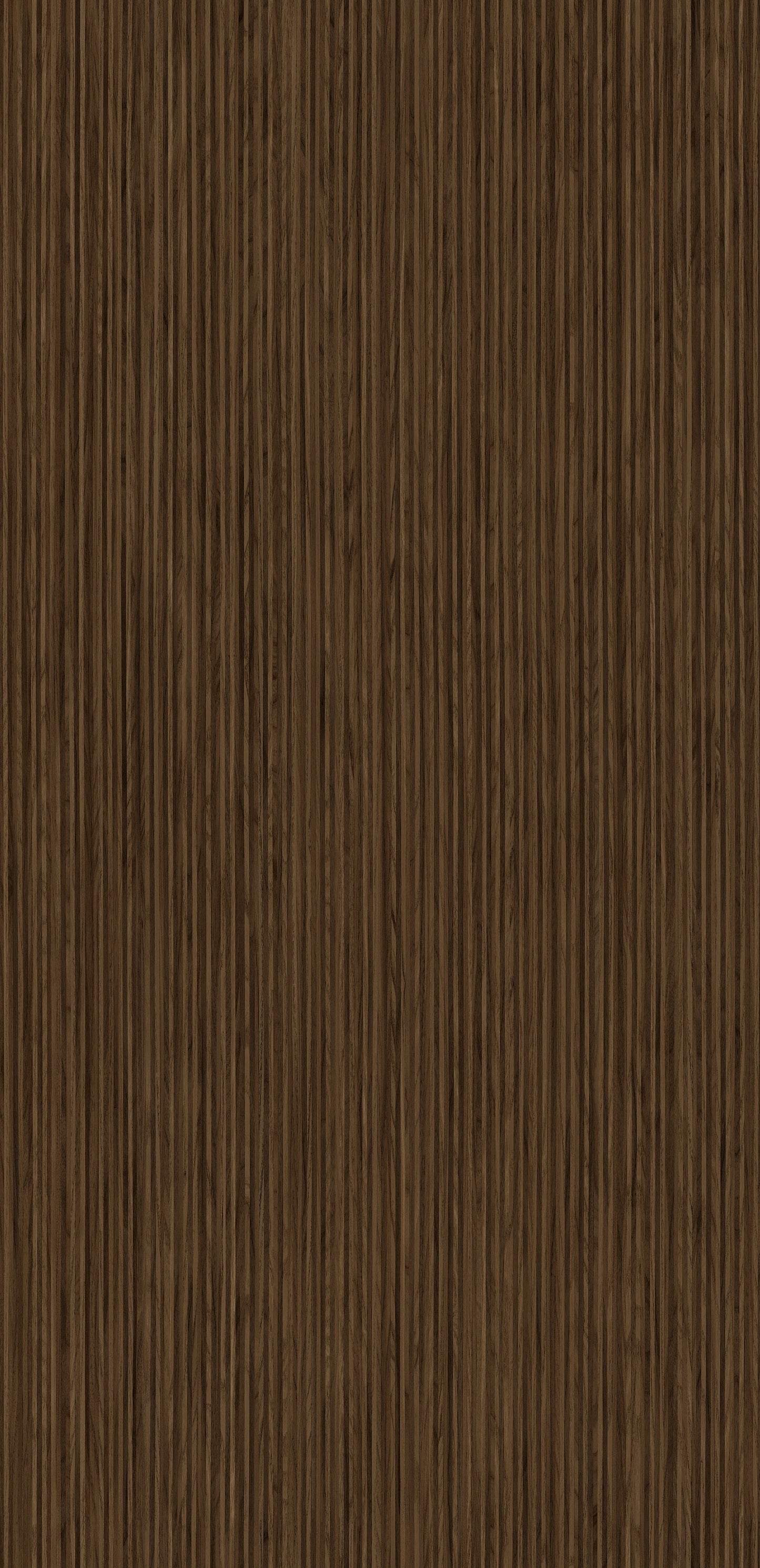 4645 - Caravella Dark | Sample