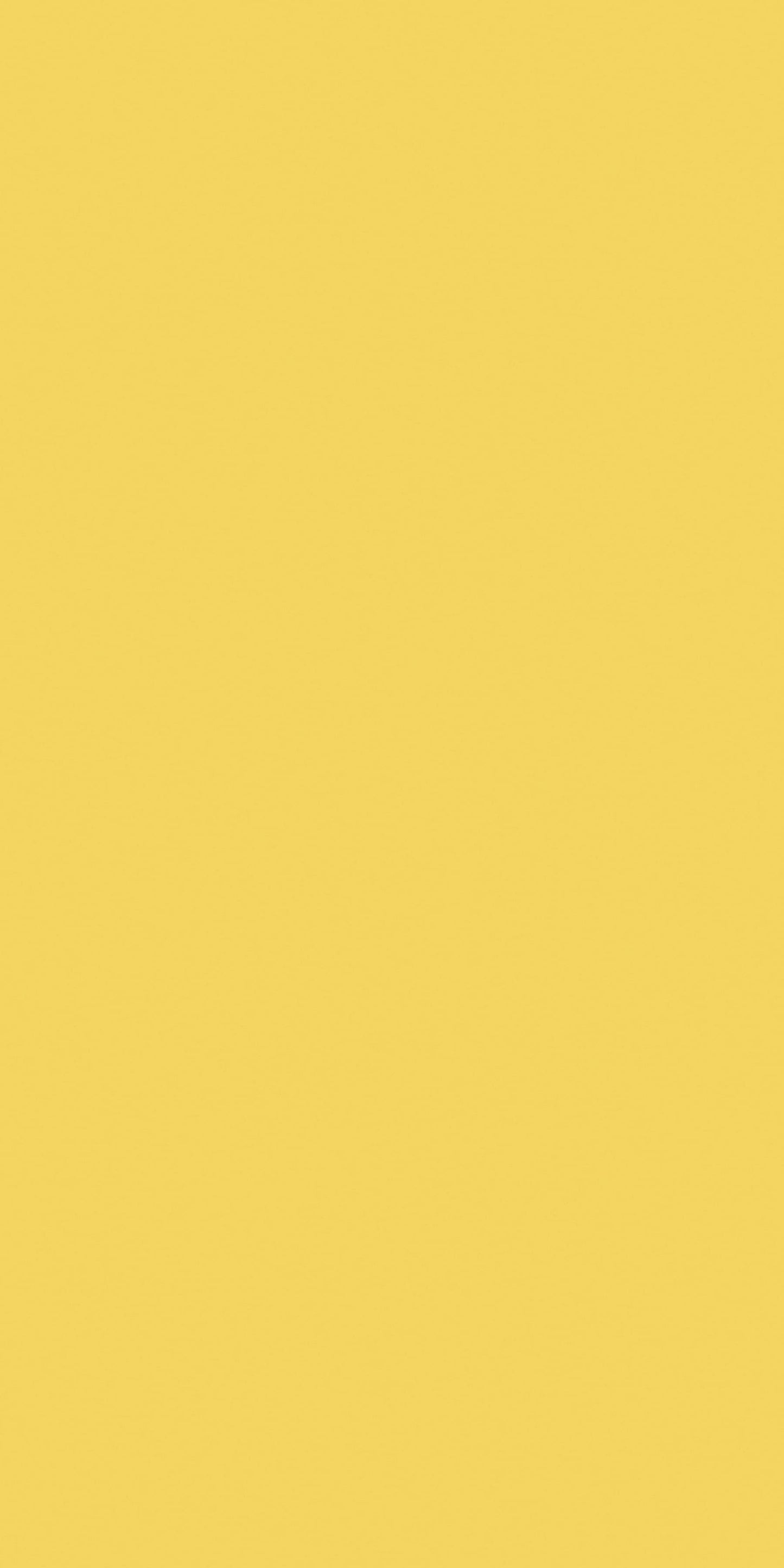 5042 - Sundance | Sample
