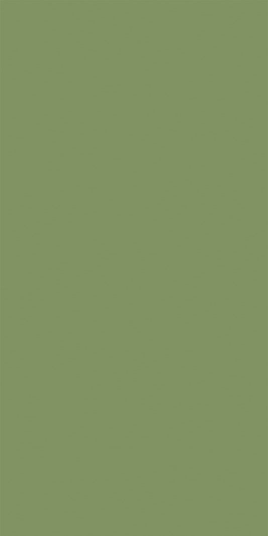5043 - Lettuce