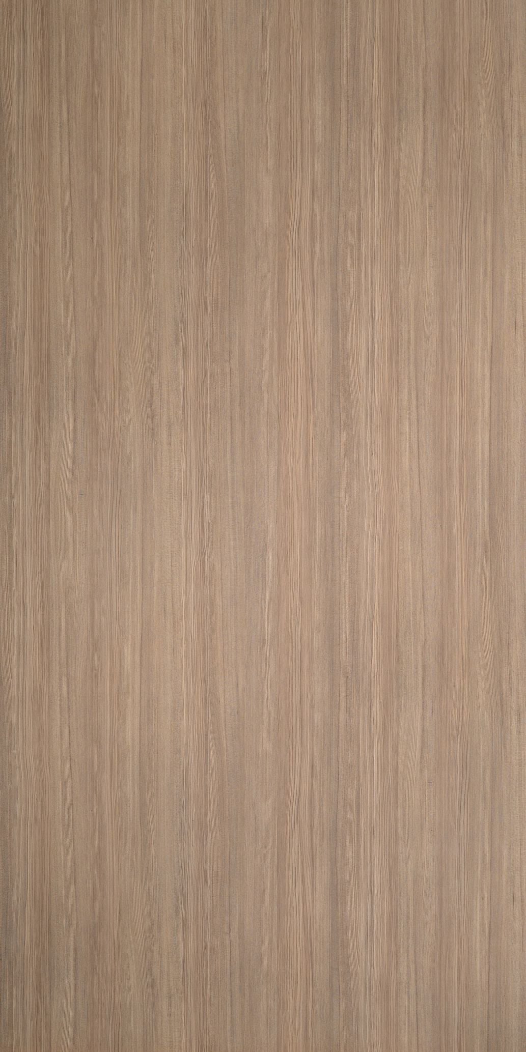5483 - Mocca Firwood | Sample
