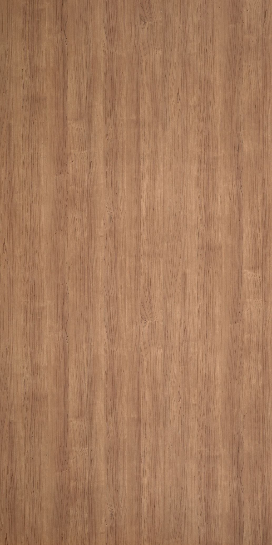 5485 - Spice Maple | Sample