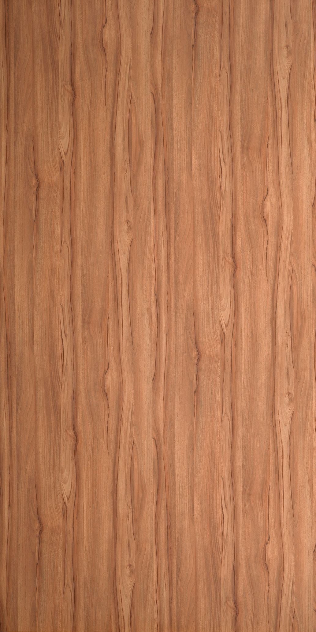 5487 - Oiled Walnut | Sample