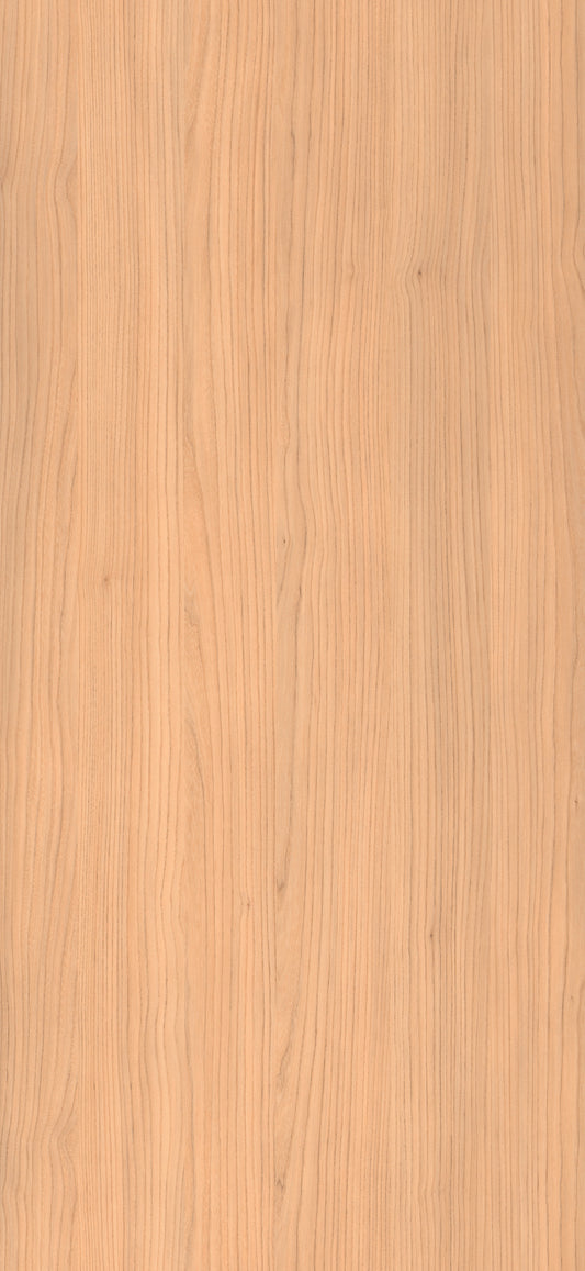 J5654 - Olmo Naturale | Sample