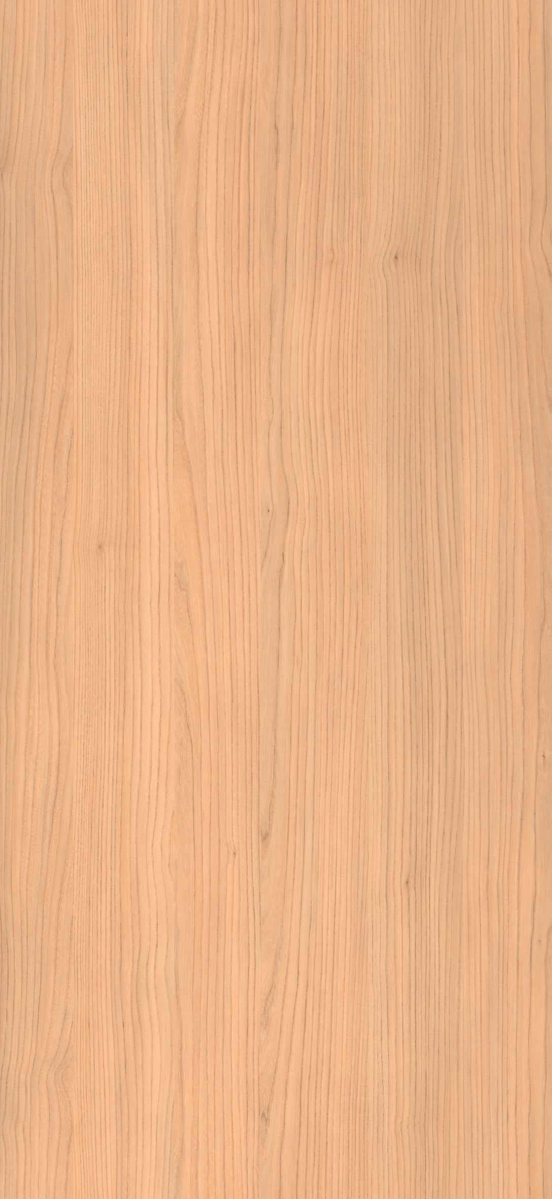 J5654 - Olmo Naturale | Sample