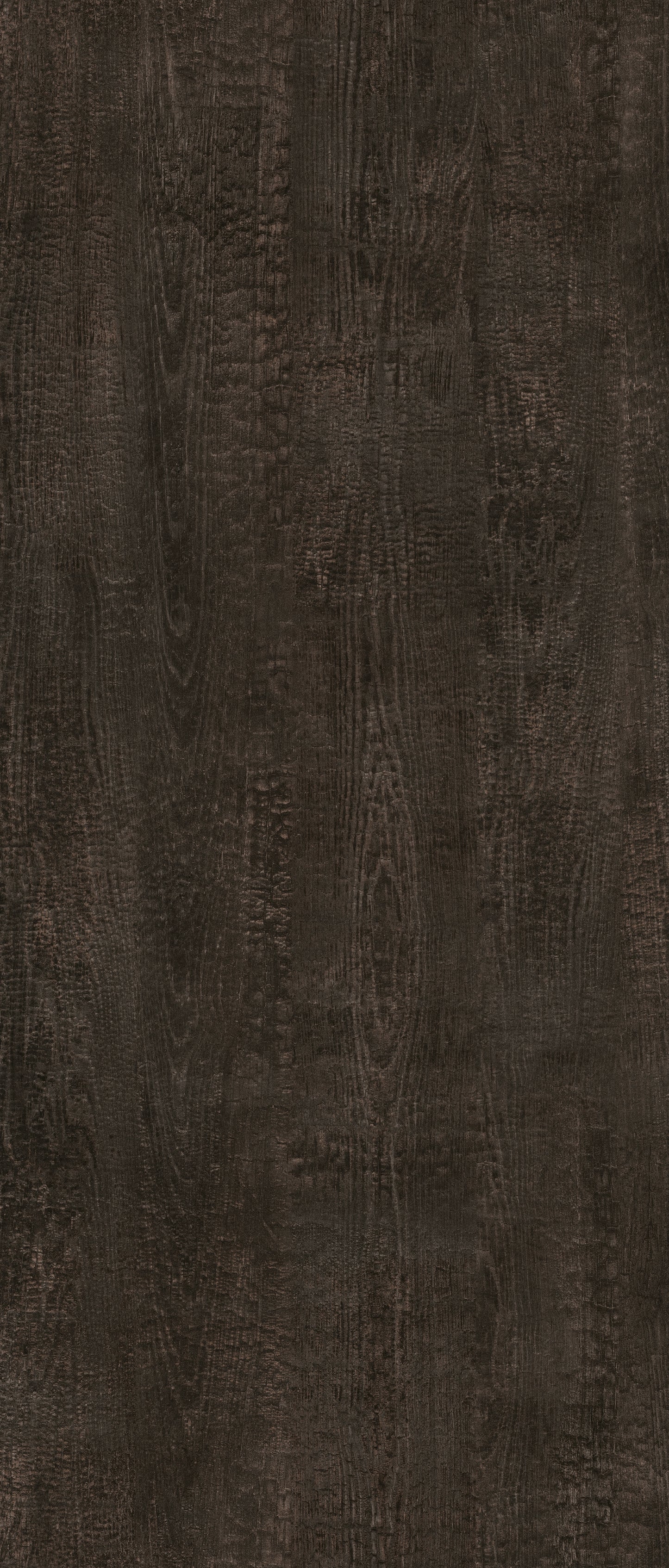 5669 - Fossile