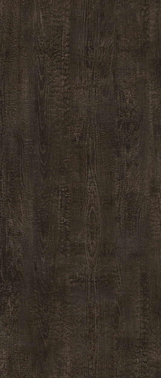 J5669 - Fossile | Sample