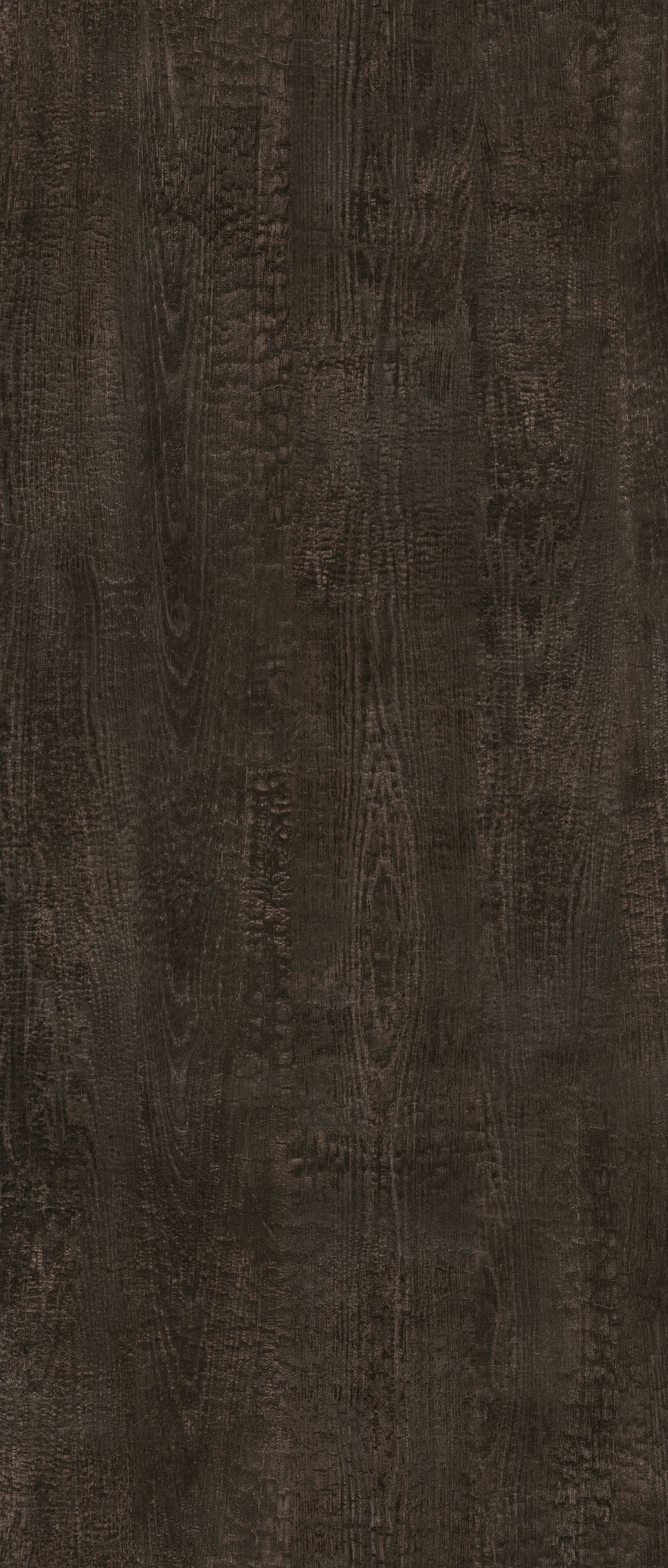 J5669 - Fossile | Sample