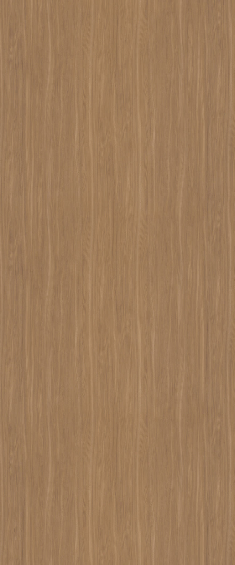 CR5794 - Beige Elm